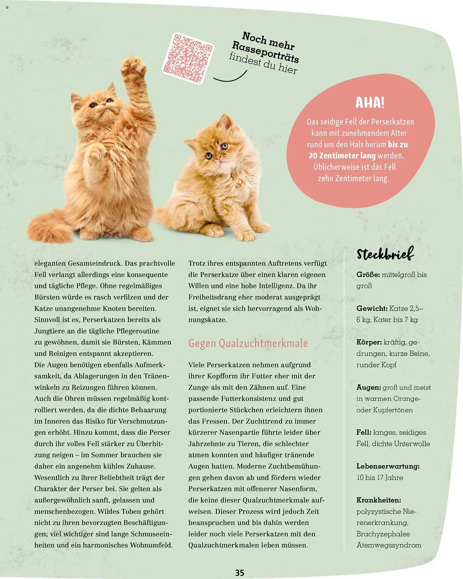 Fressnapf Magazin (2026-03-02 - 2026-04-30)