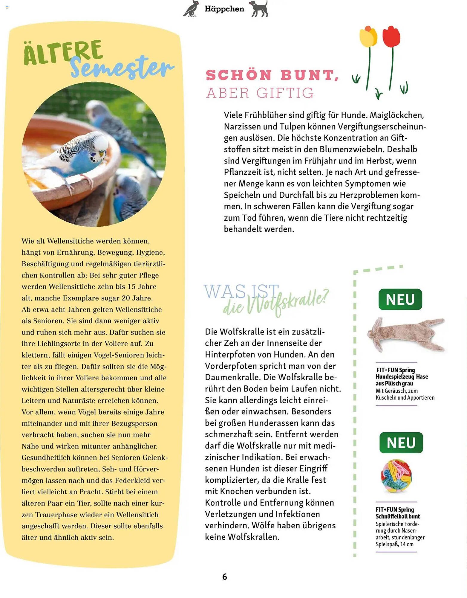 Fressnapf Magazin (2026-03-02 - 2026-04-30)