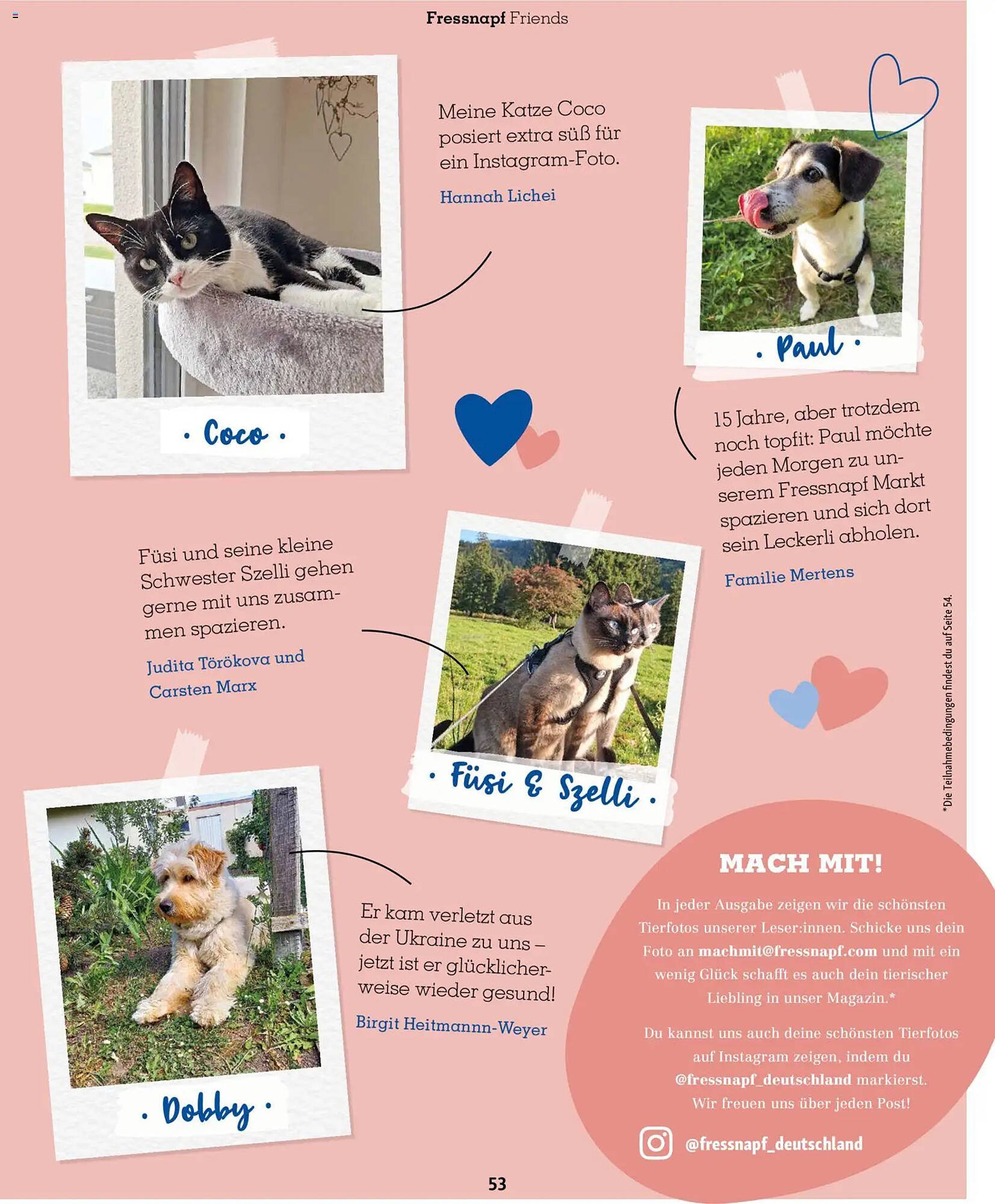 Fressnapf Magazin (2026-03-02 - 2026-04-30)