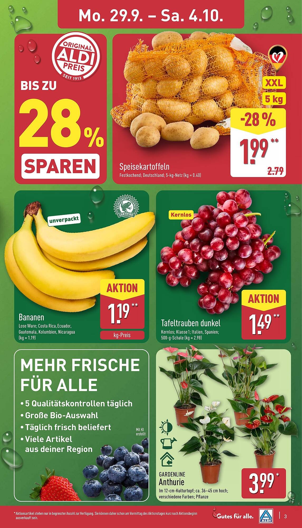 Aldi Nord Prospekt (2025-09-29 - 2025-10-04) | 3