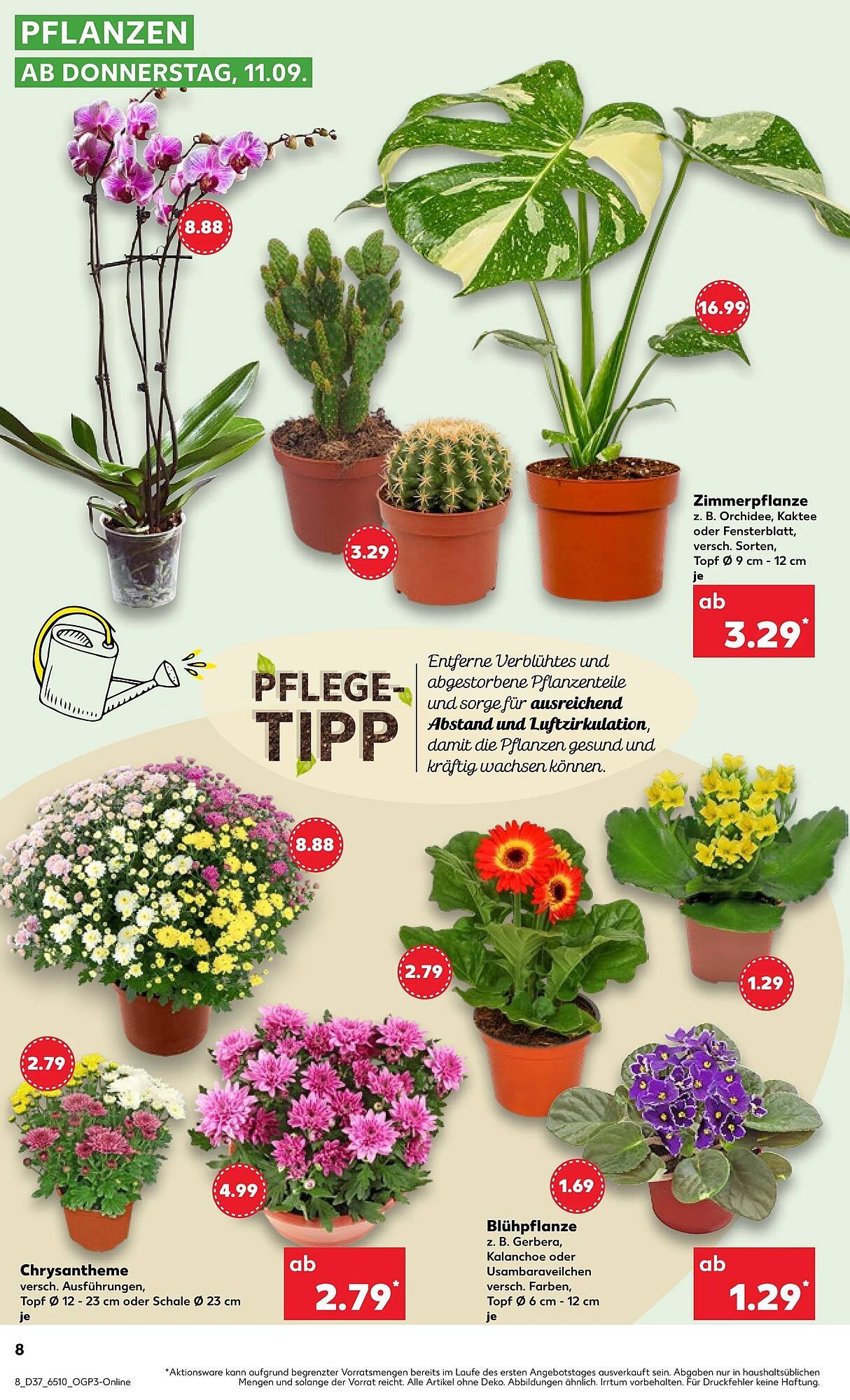 Kaufland Prospekt (2025-09-17 - 2025-09-17)