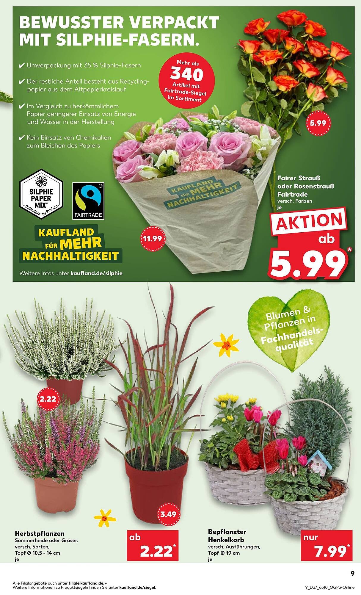 Kaufland Prospekt (2025-09-17 - 2025-09-17)