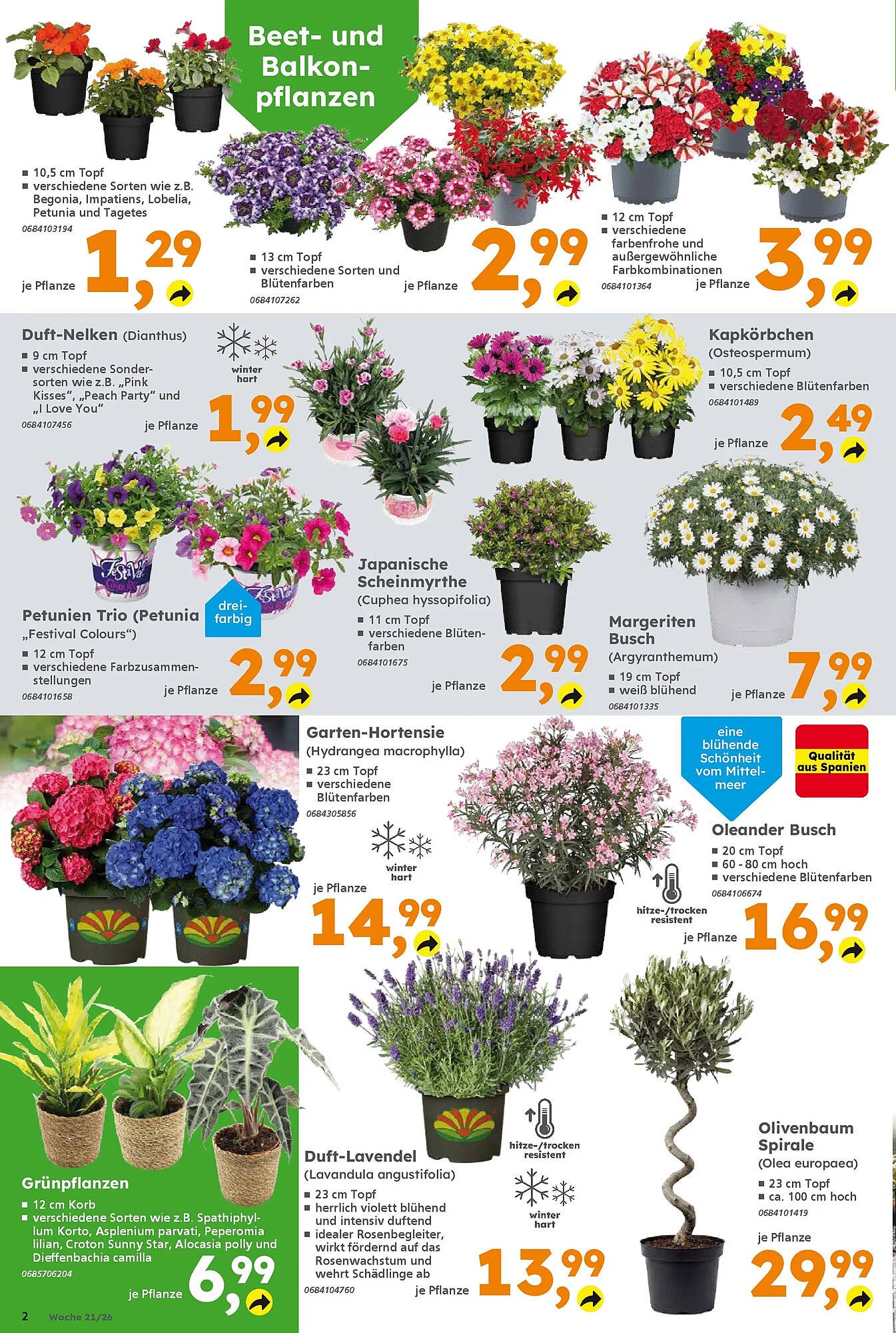Globus Baumarkt Prospekt