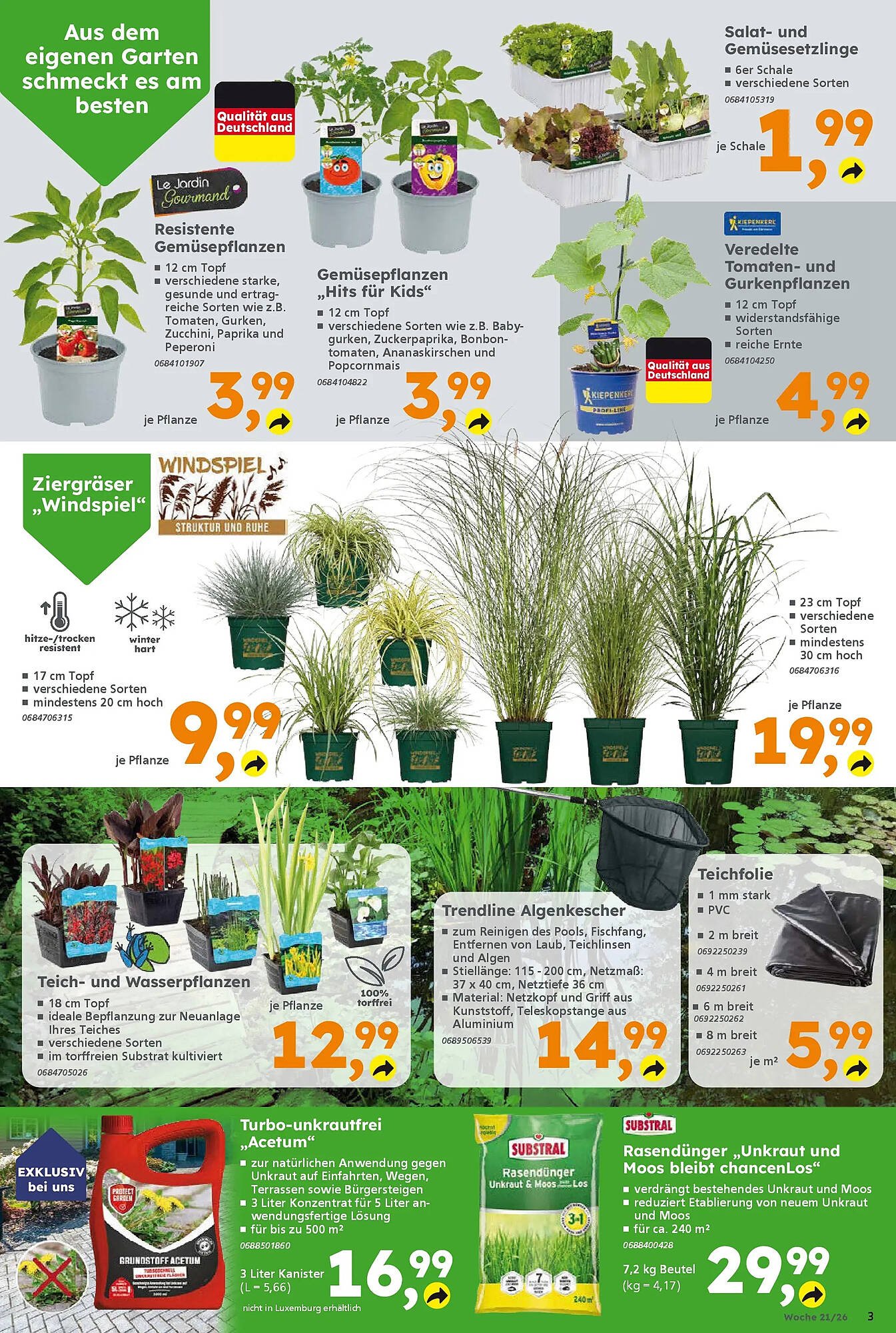 Globus Baumarkt Prospekt