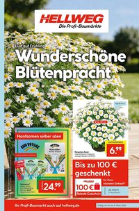 Hellweg Prospekt (2026-03-16 - 2026-03-22)