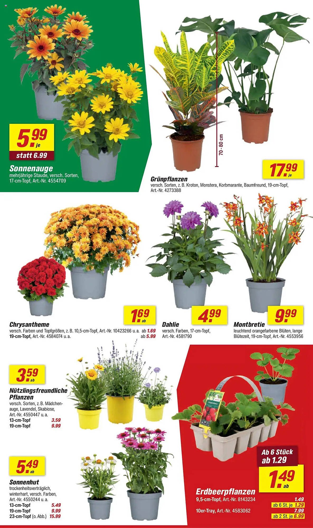 toom Baumarkt Prospekt (2025-07-26 - 2025-08-01) | 4