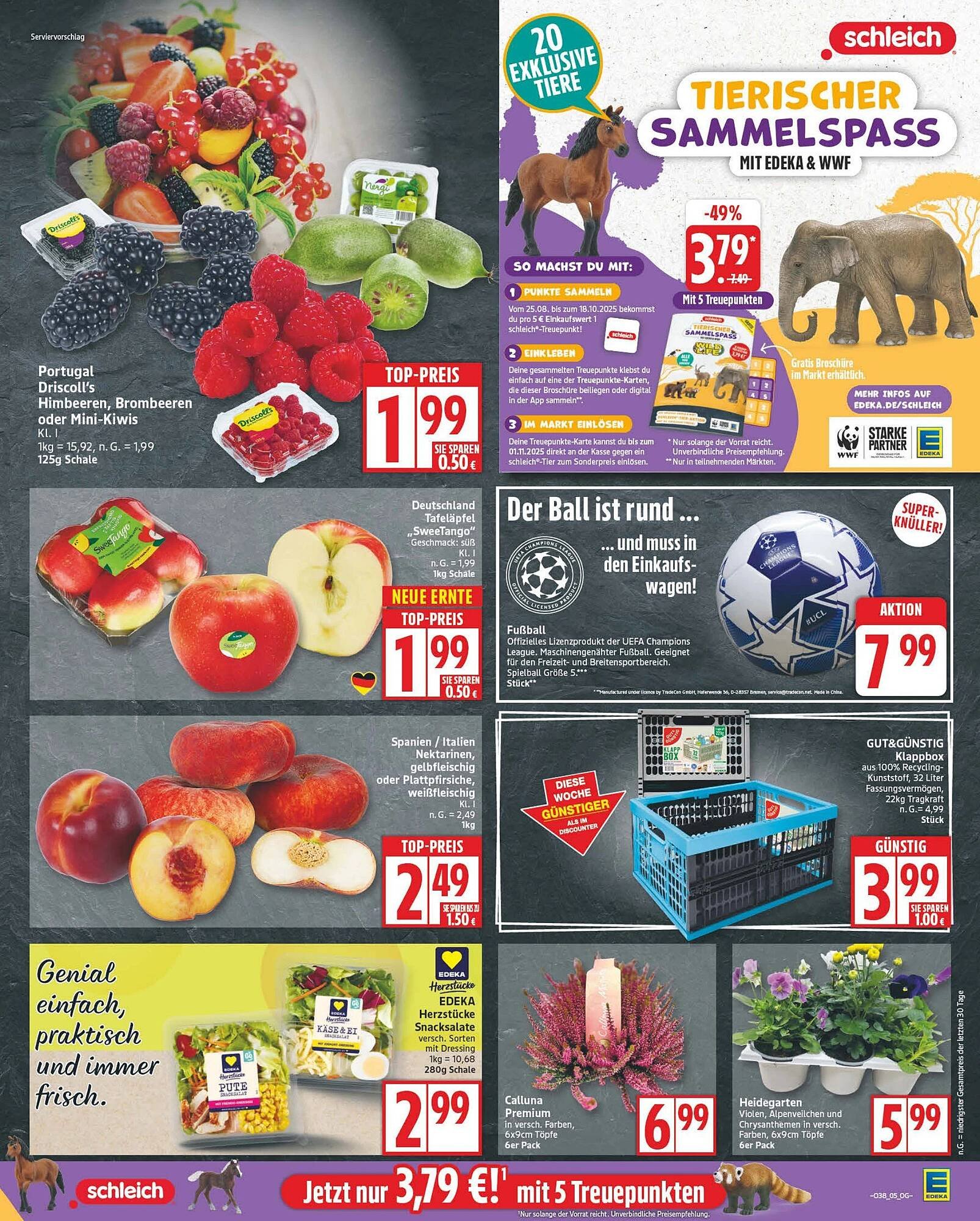 Edeka Prospekt (2025-09-15 - 2025-09-20) | 5