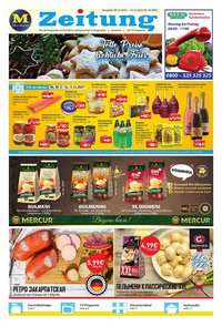 Mix Markt Prospekt (2025-12-08 - 2025-12-13)