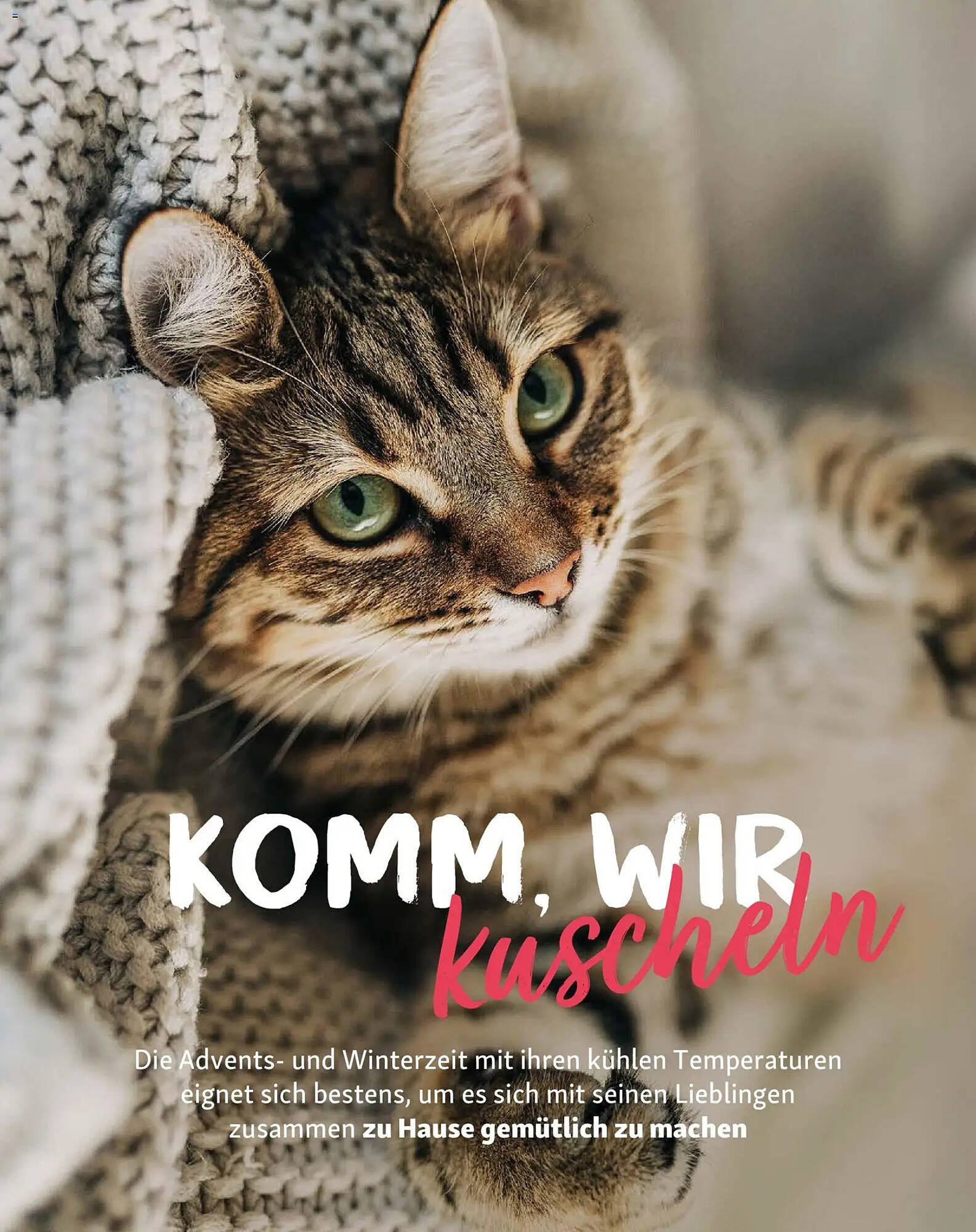 Fressnapf Magazin (2025-11-01 - 2025-12-31)