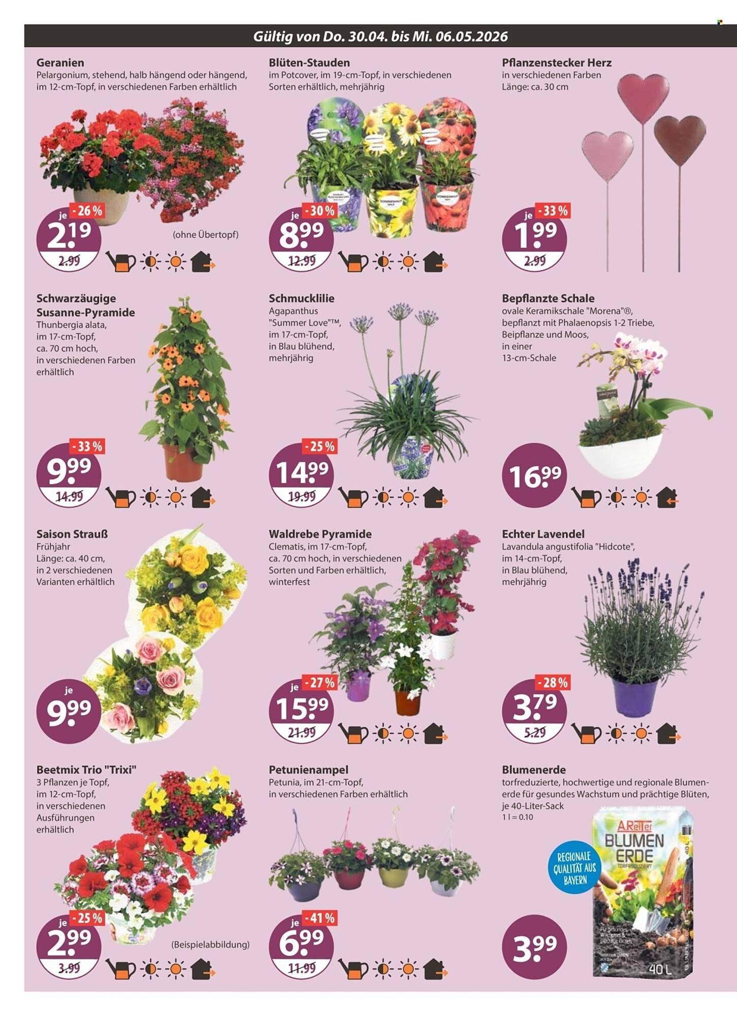 V Markt Prospekt (2026-04-30 - 2026-05-06)