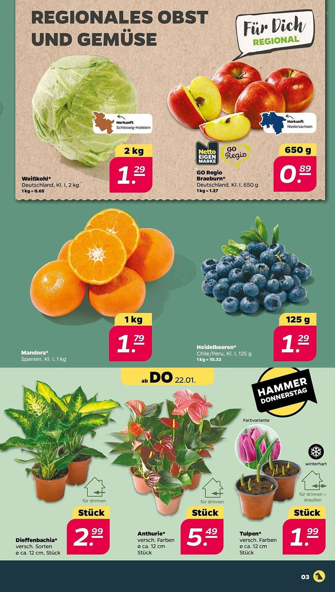 NETTO Prospekt (2026-01-19 - 2026-01-24)