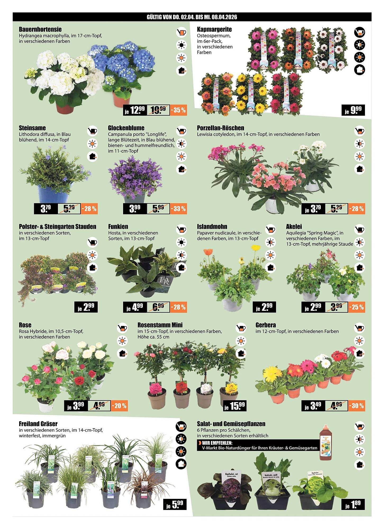 V Baumarkt Prospekt (2026-04-02 - 2026-04-09)