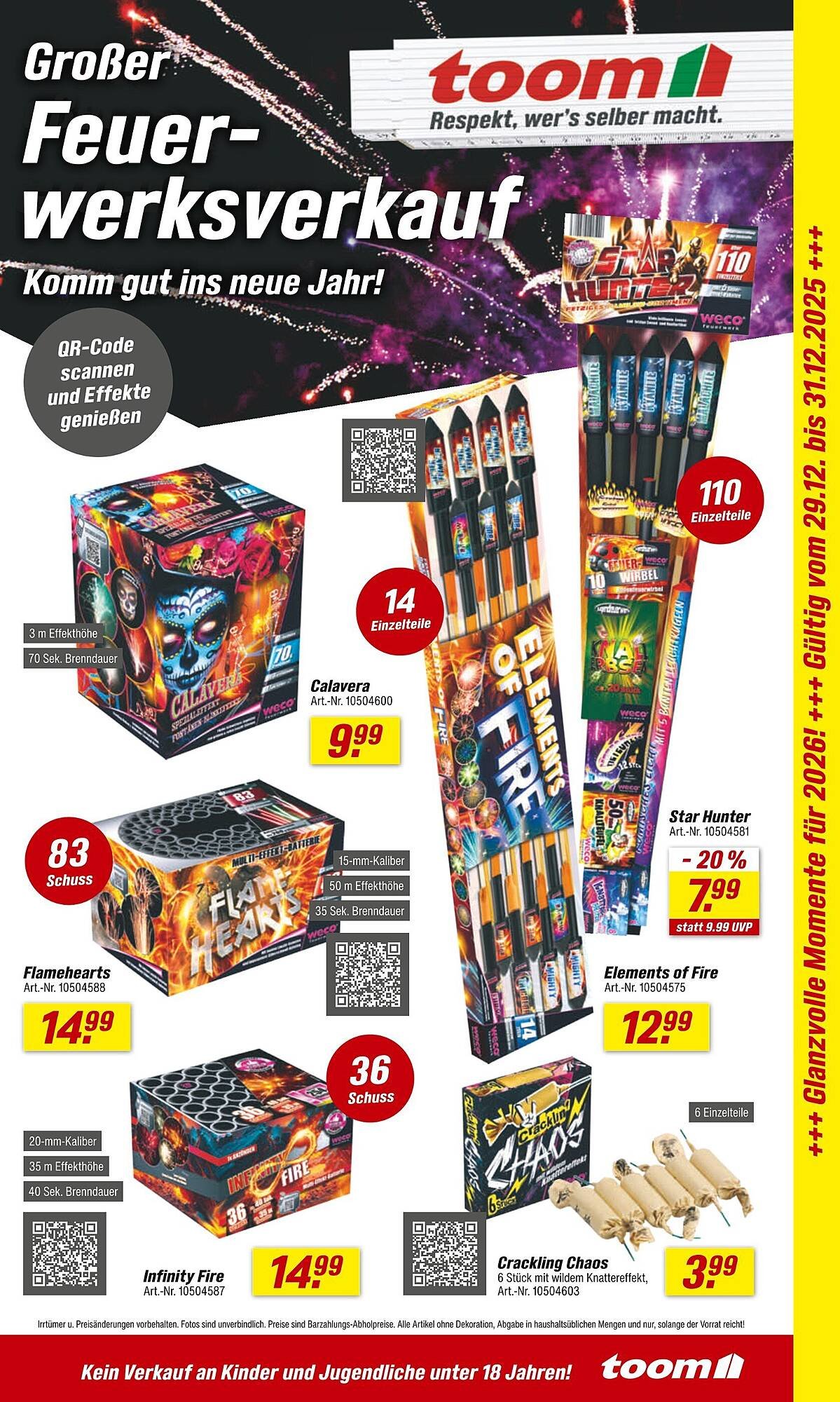 Toom Baumarkt Prospekt (2025-12-29 - 2025-12-31)