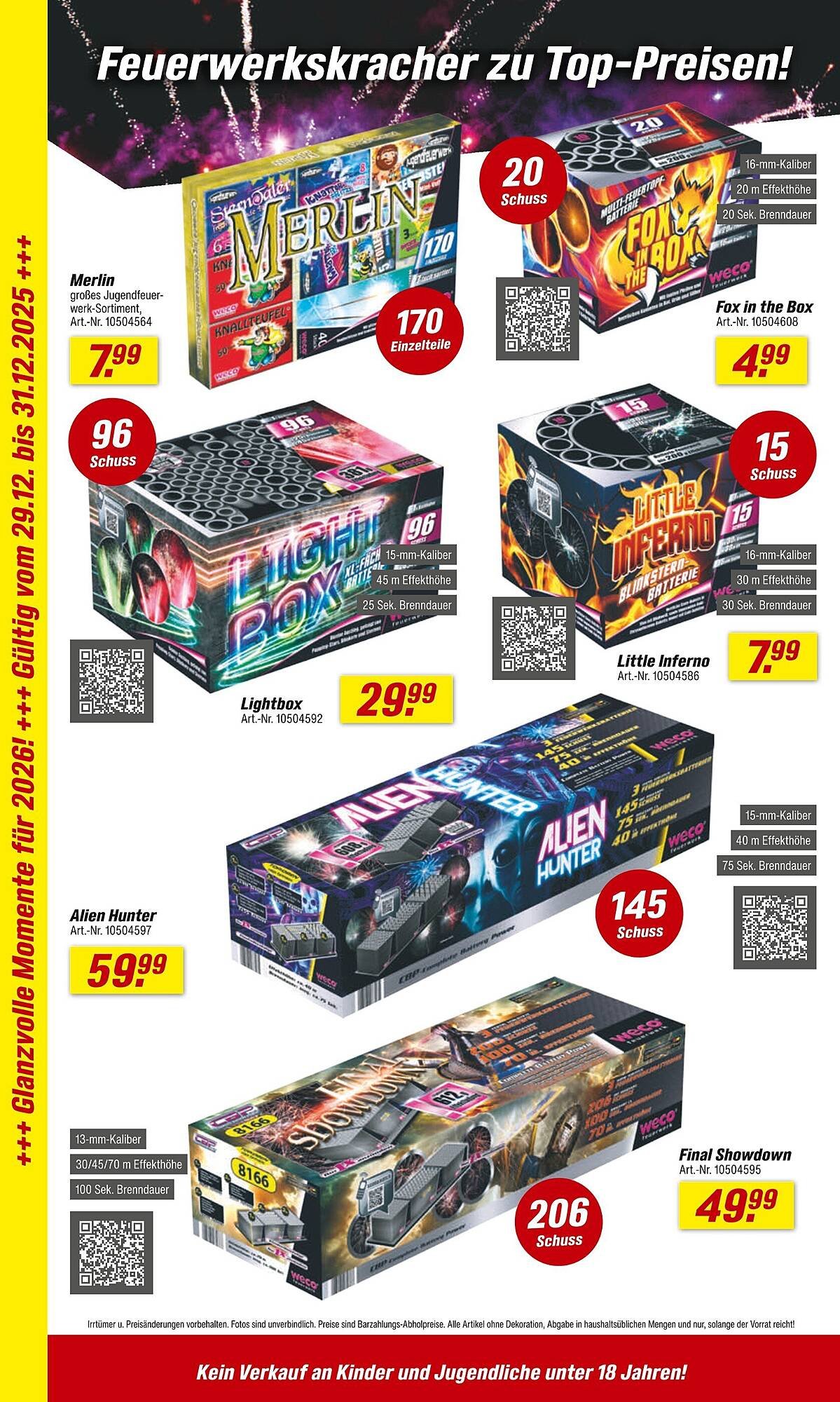 Toom Baumarkt Prospekt (2025-12-29 - 2025-12-31)