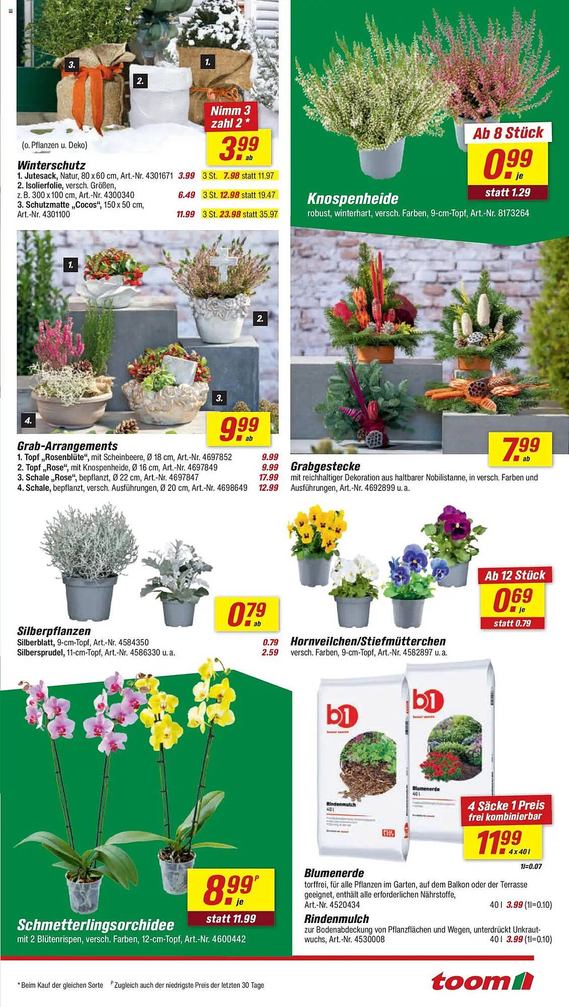 Toom Baumarkt Prospekt (2025-10-18 - 2025-10-24) | 3