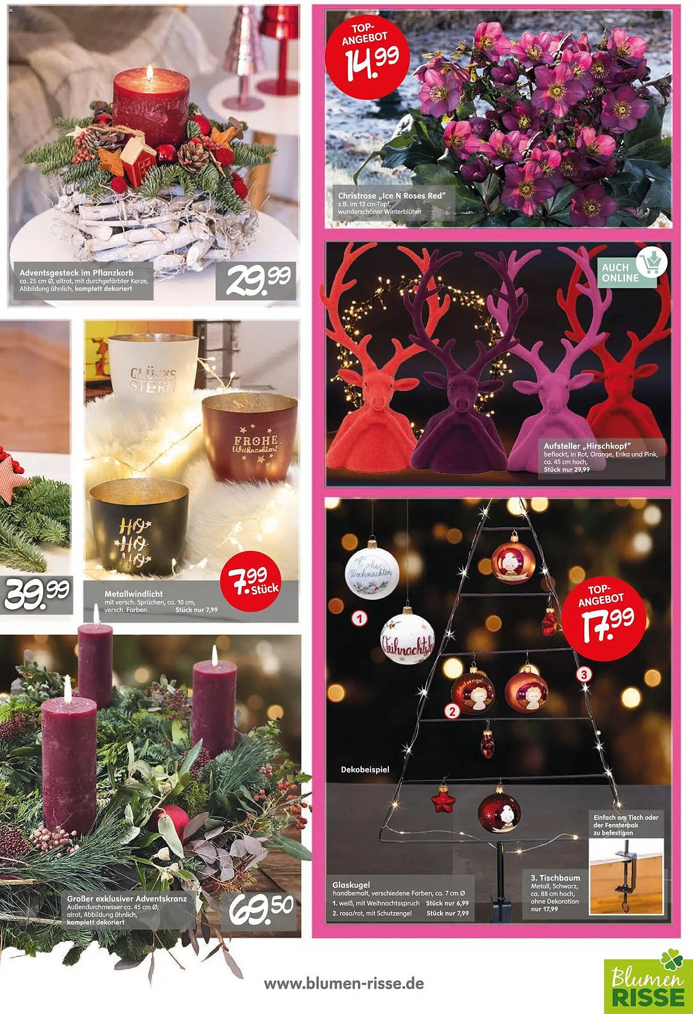 Blumen Risse Prospekt (2025-11-13 - 2025-11-23)