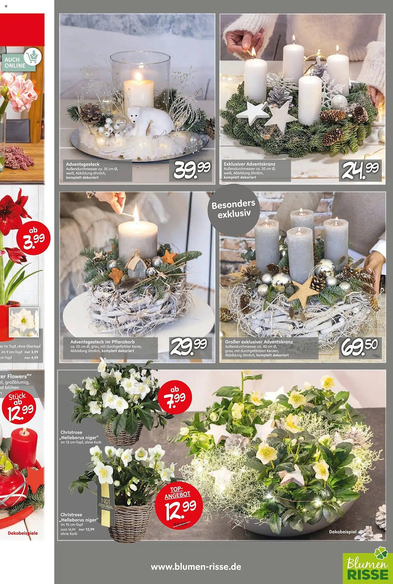 Blumen Risse Prospekt (2025-11-13 - 2025-11-23)