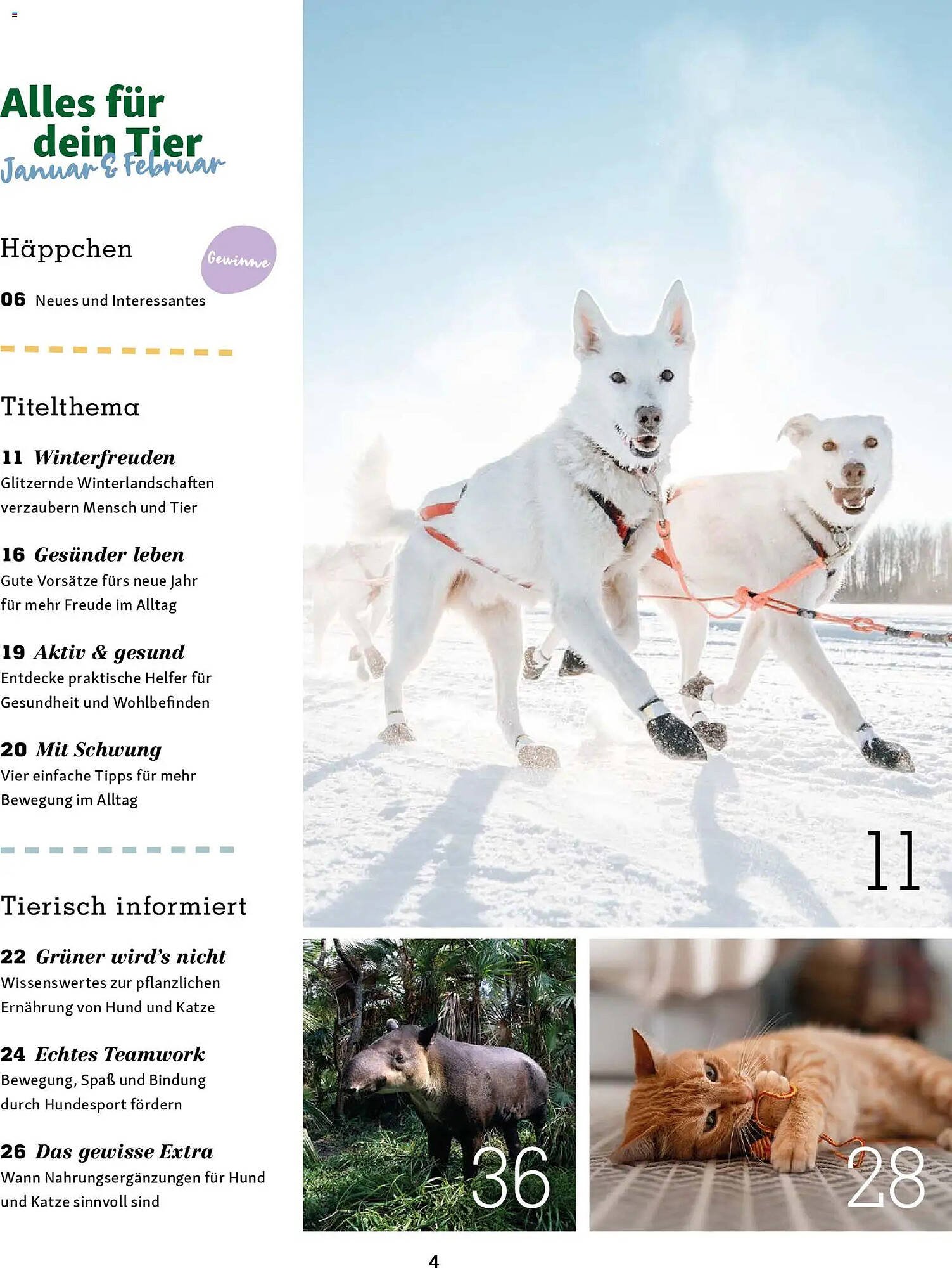 Fressnapf Magazin (2026-01-01 - 2026-02-28)