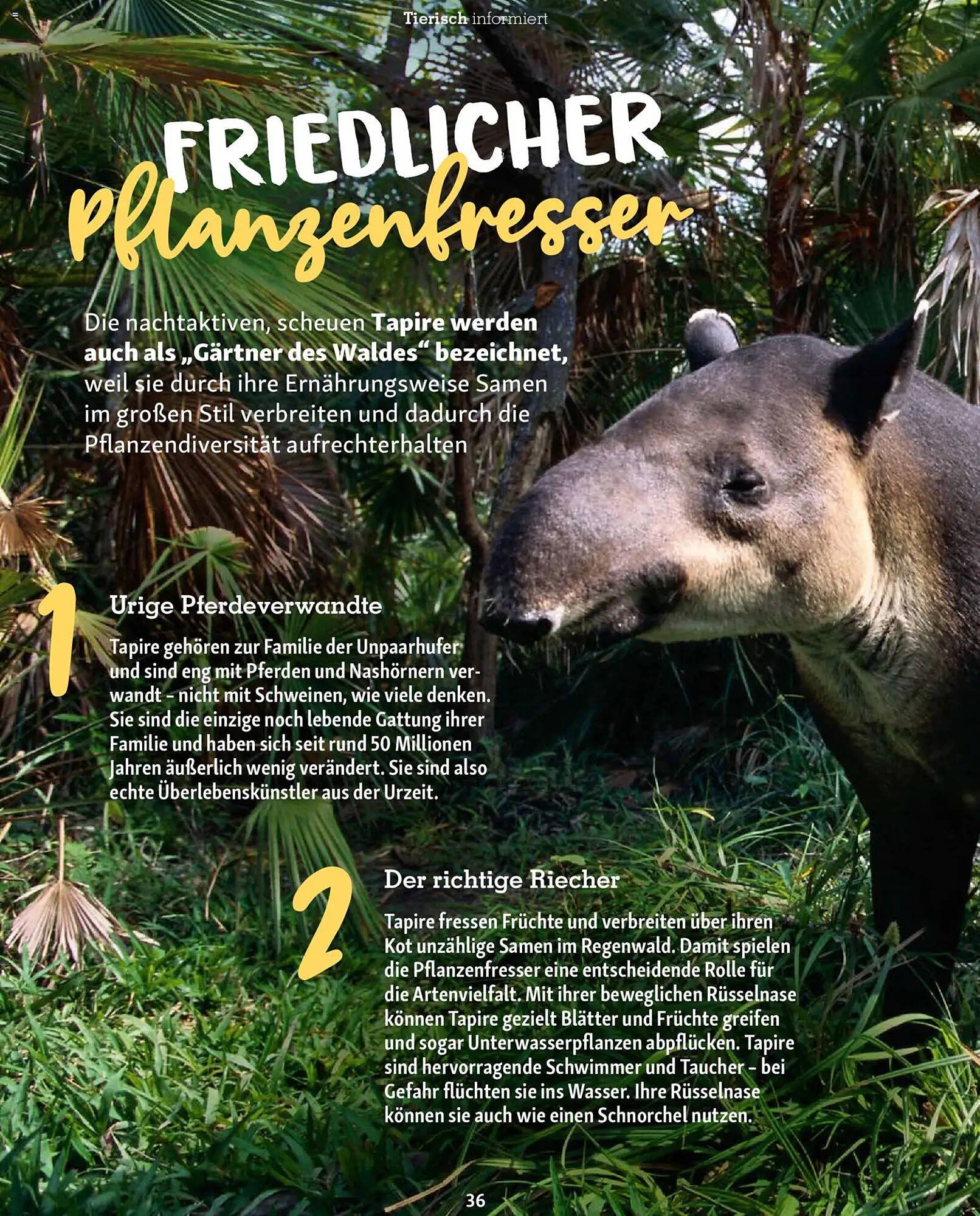 Fressnapf Magazin (2026-01-01 - 2026-02-28)