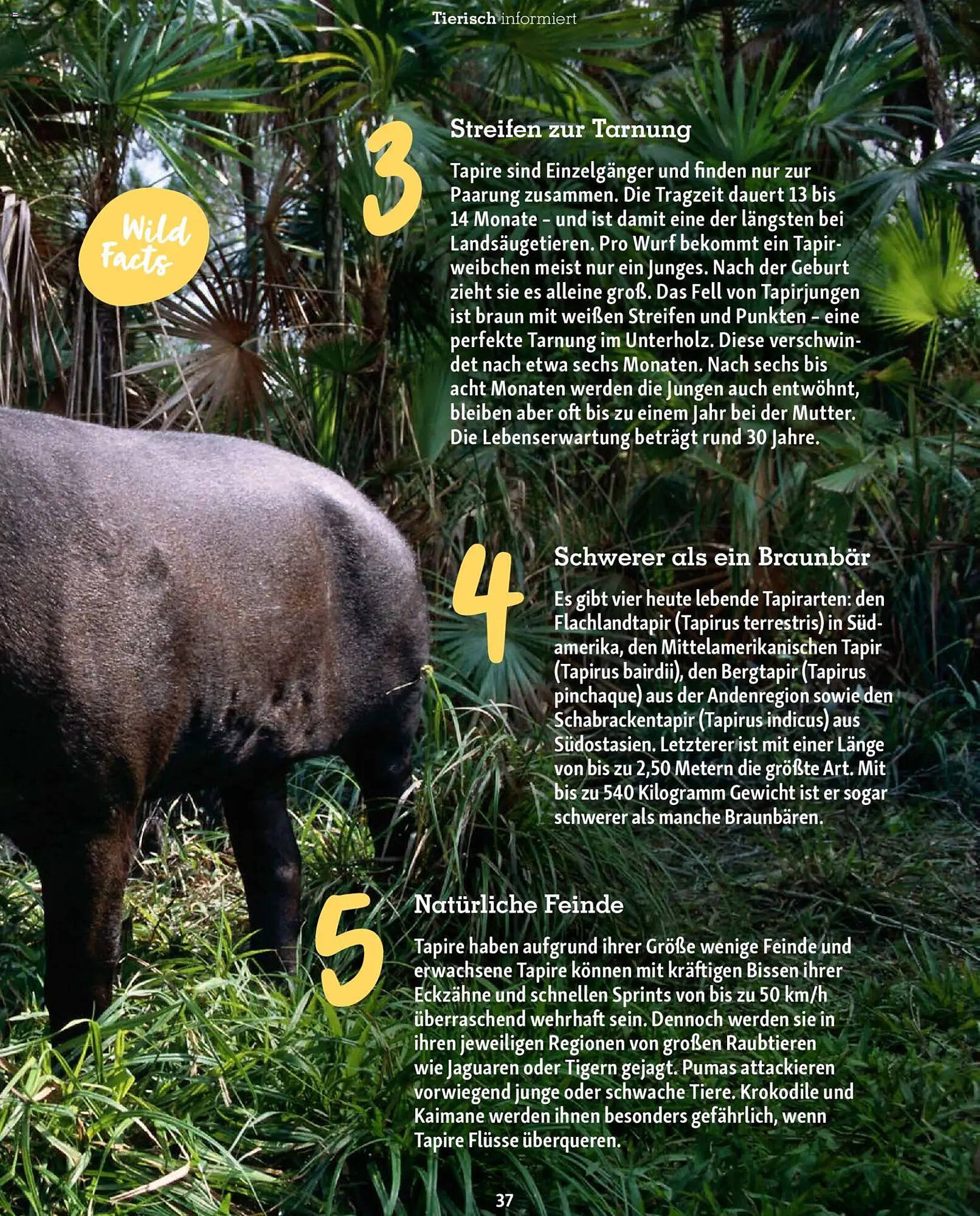 Fressnapf Magazin (2026-01-01 - 2026-02-28)