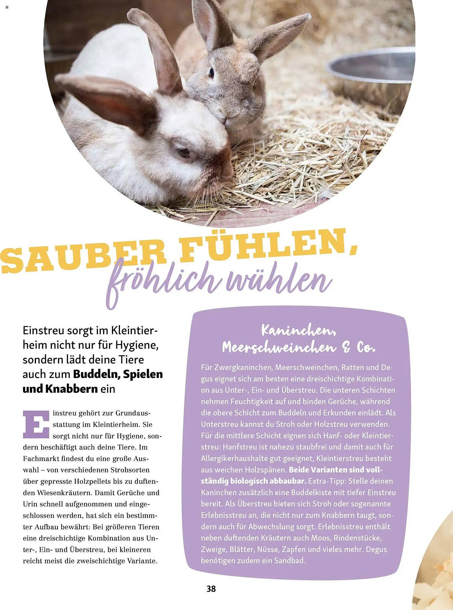 Fressnapf Magazin (2026-01-01 - 2026-02-28)