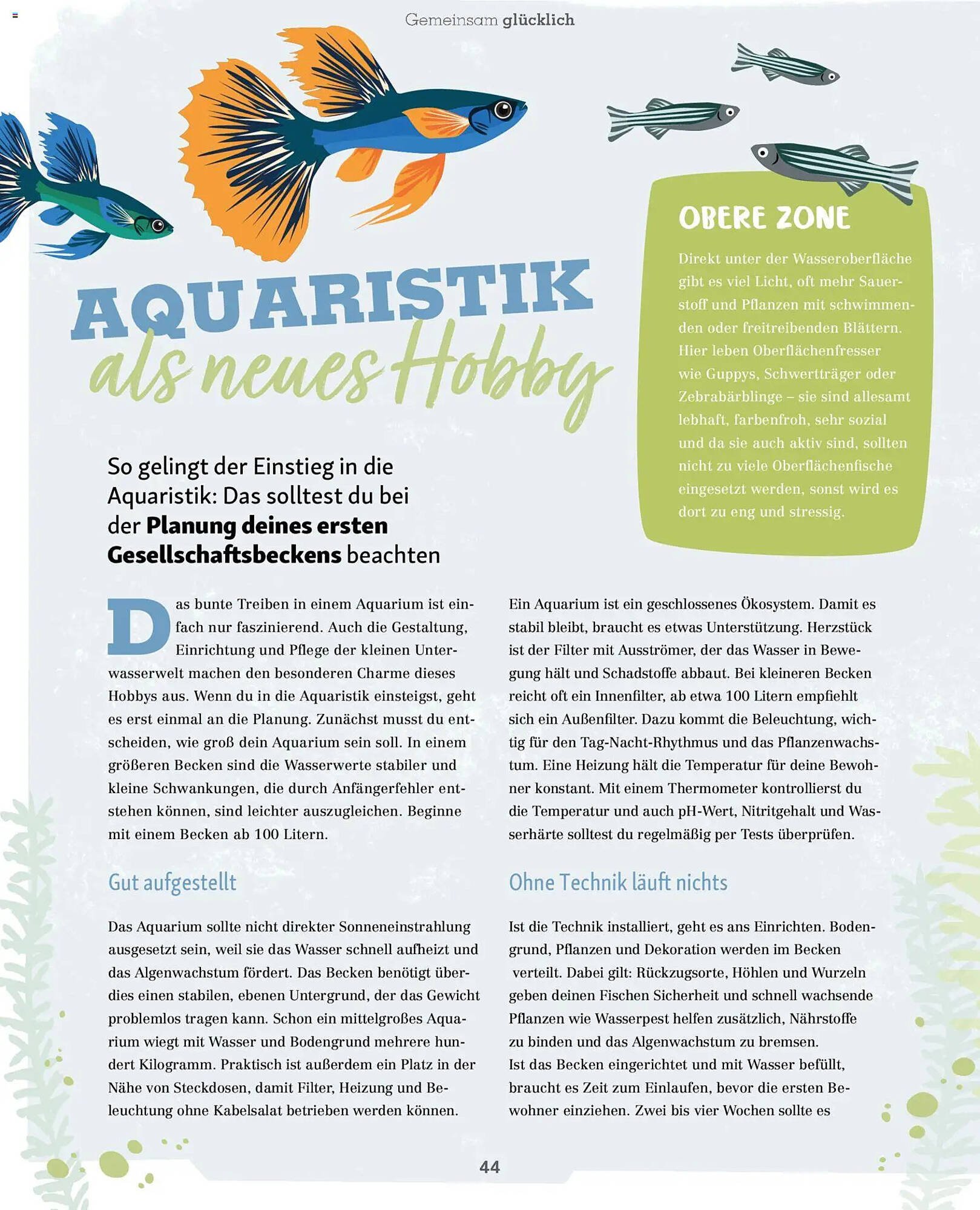 Fressnapf Magazin (2026-01-01 - 2026-02-28)