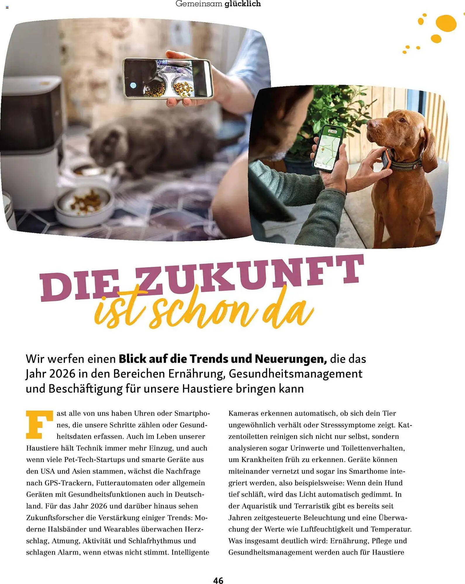 Fressnapf Magazin (2026-01-01 - 2026-02-28)