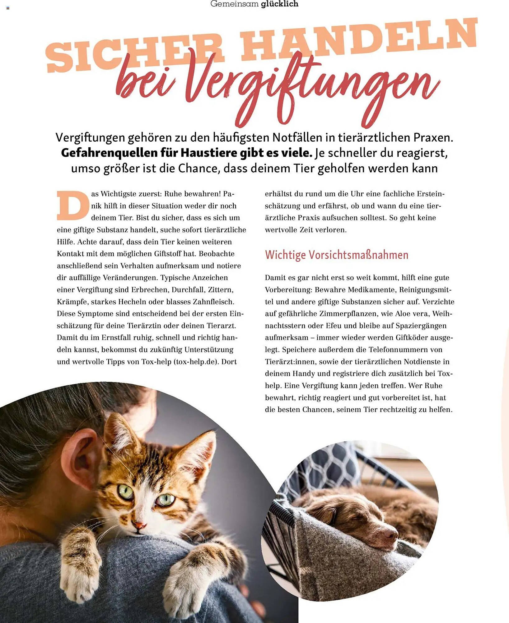 Fressnapf Magazin (2026-01-01 - 2026-02-28)