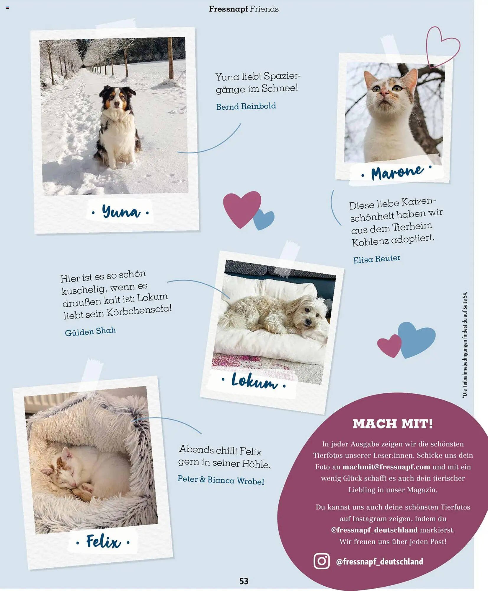 Fressnapf Magazin (2026-01-01 - 2026-02-28)