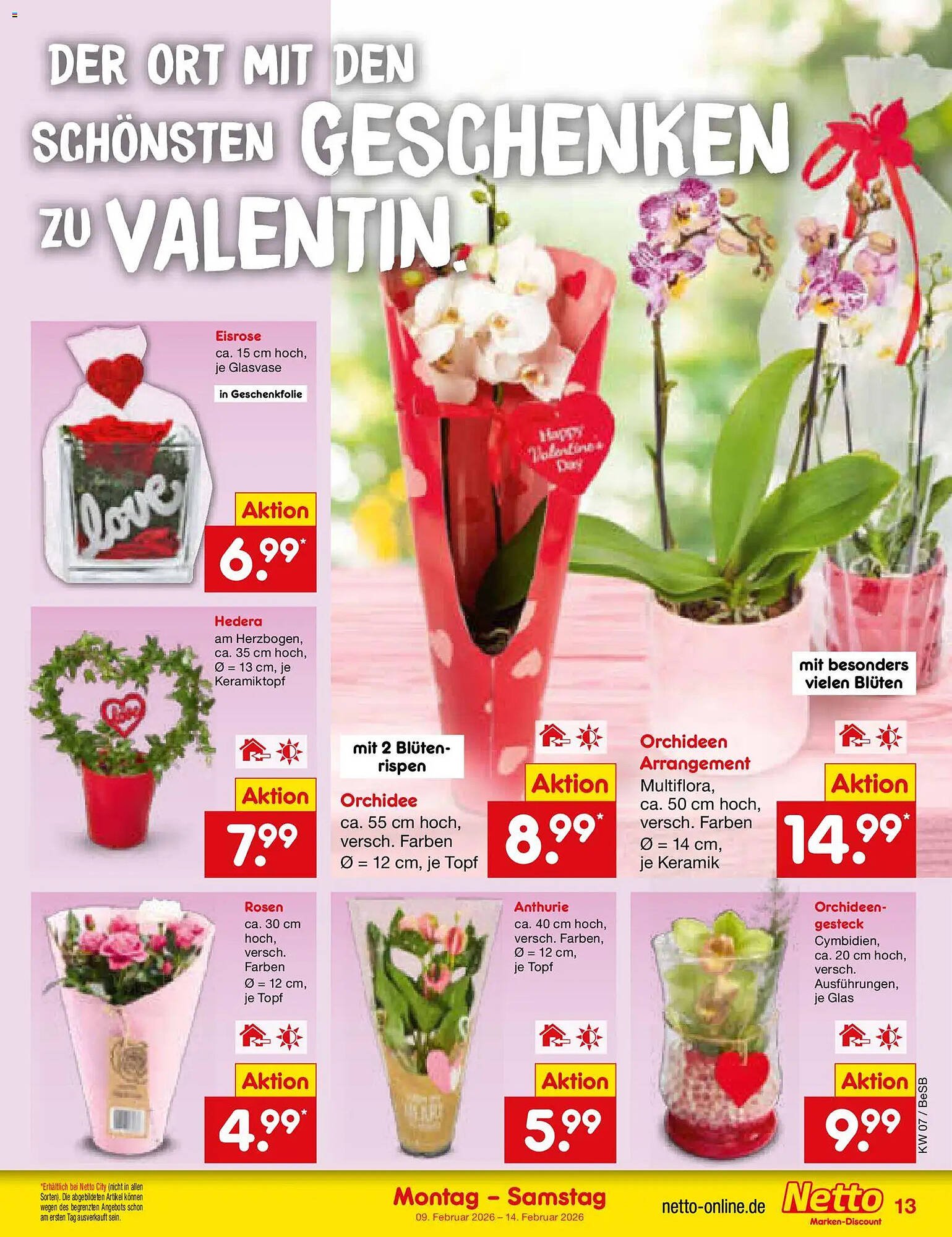 Netto Marken-Discount Prospekt (2026-02-09 - 2026-02-14)