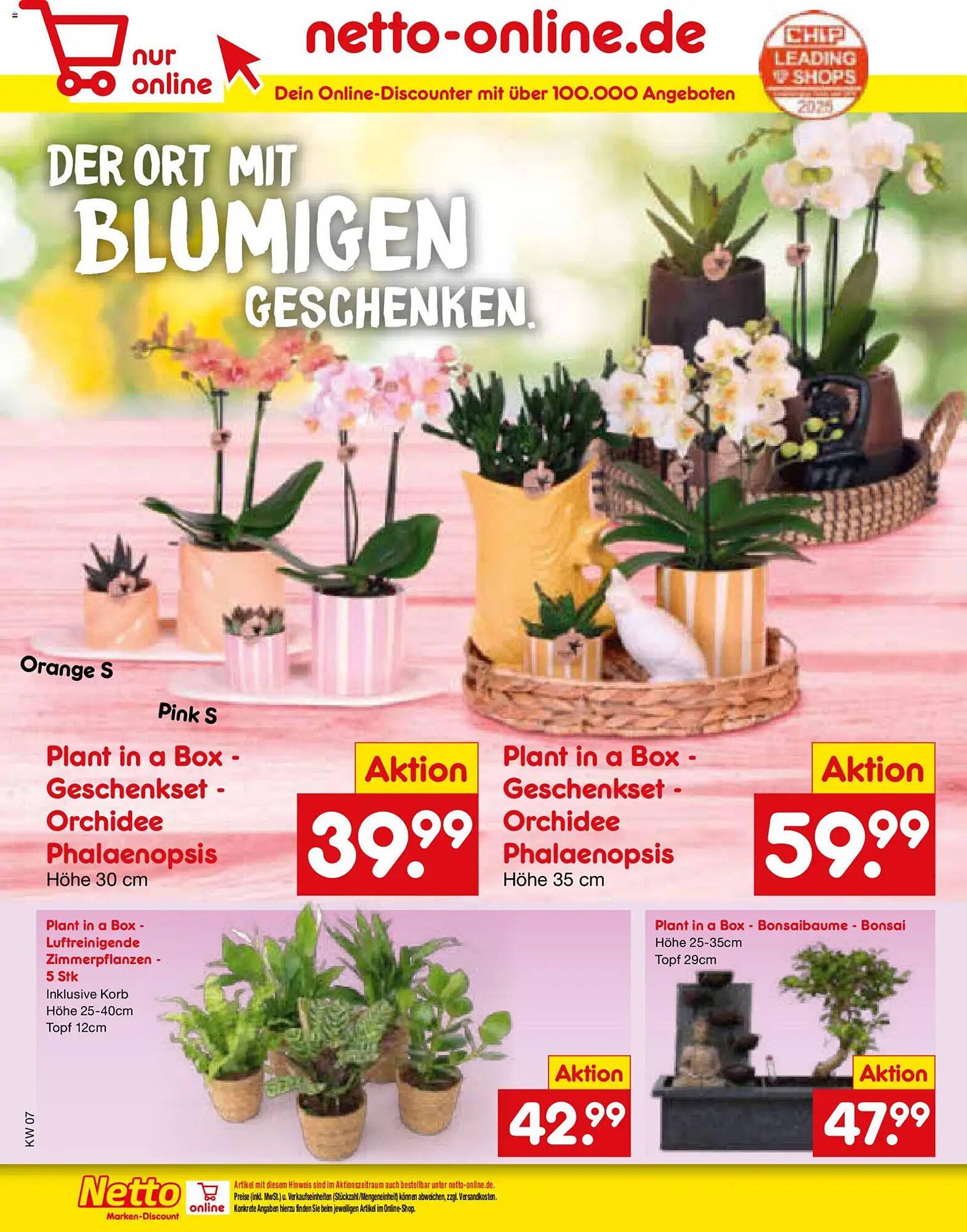 Netto Marken-Discount Prospekt (2026-02-09 - 2026-02-14)