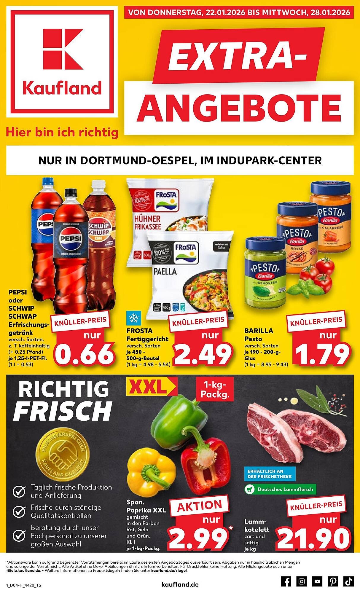 Kaufland Prospekt