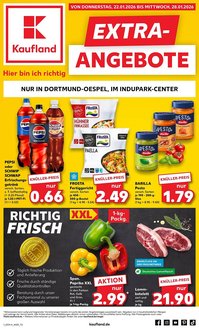 Kaufland Prospekt