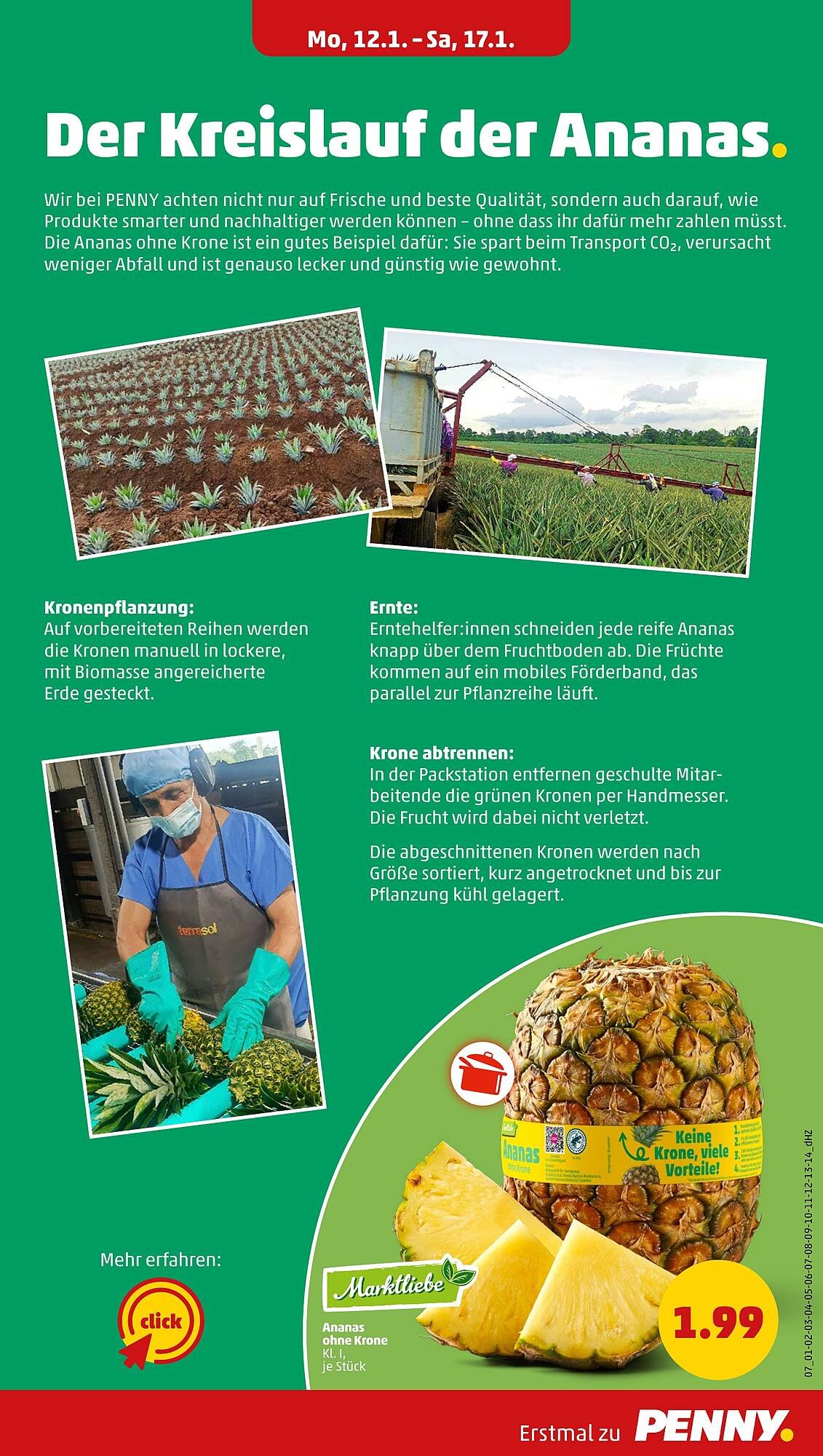 PENNY Prospekt (2026-01-19 - 2026-01-24)