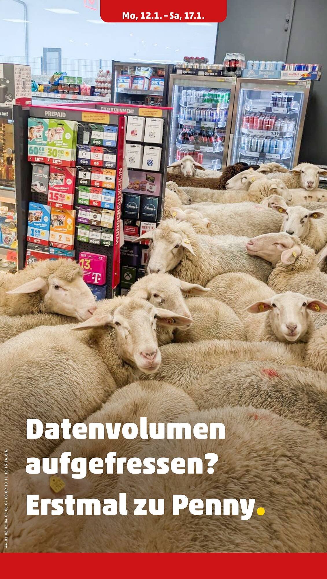 PENNY Prospekt (2026-01-19 - 2026-01-24)