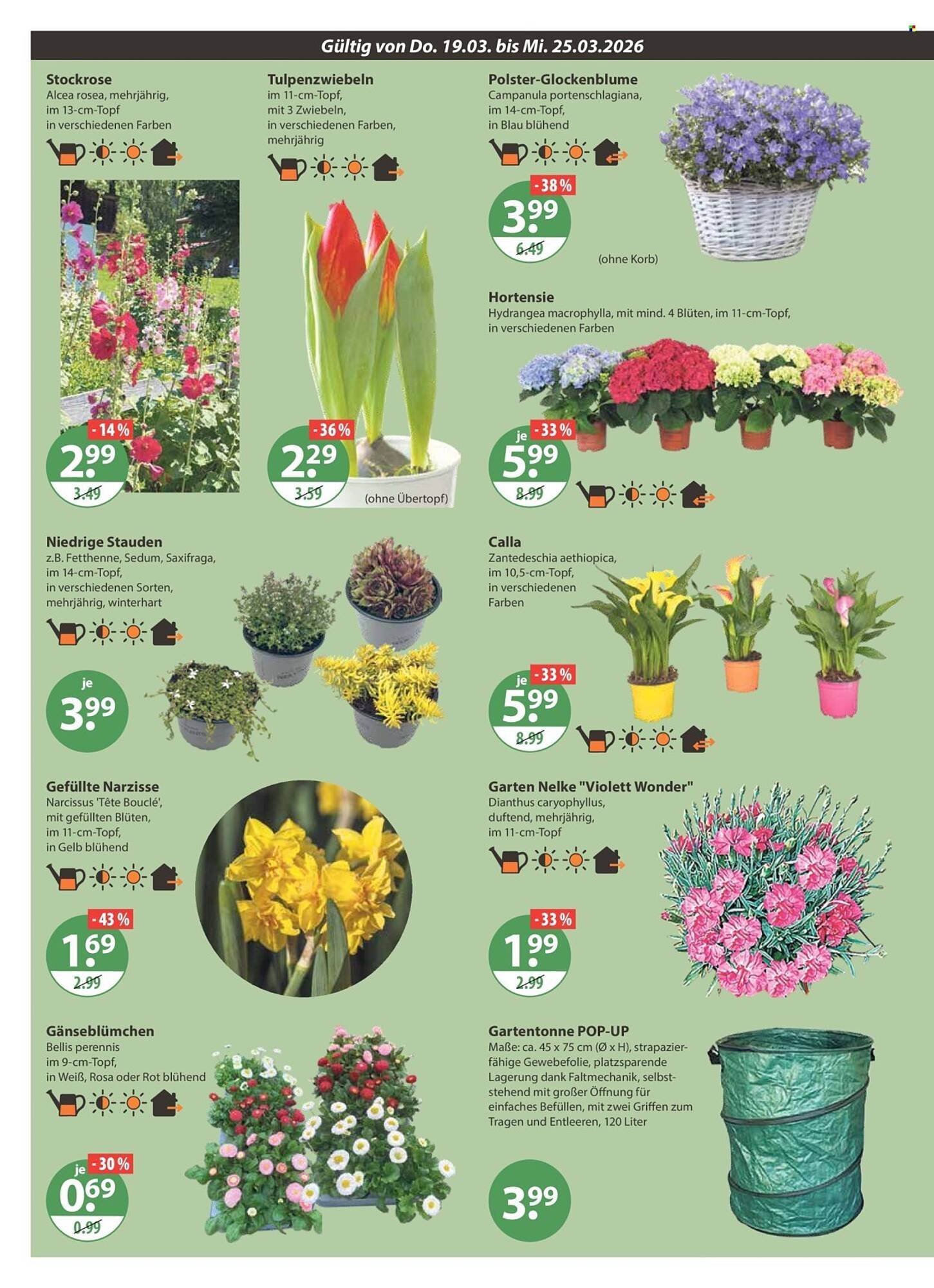 V Markt Prospekt (2026-03-19 - 2026-03-25)