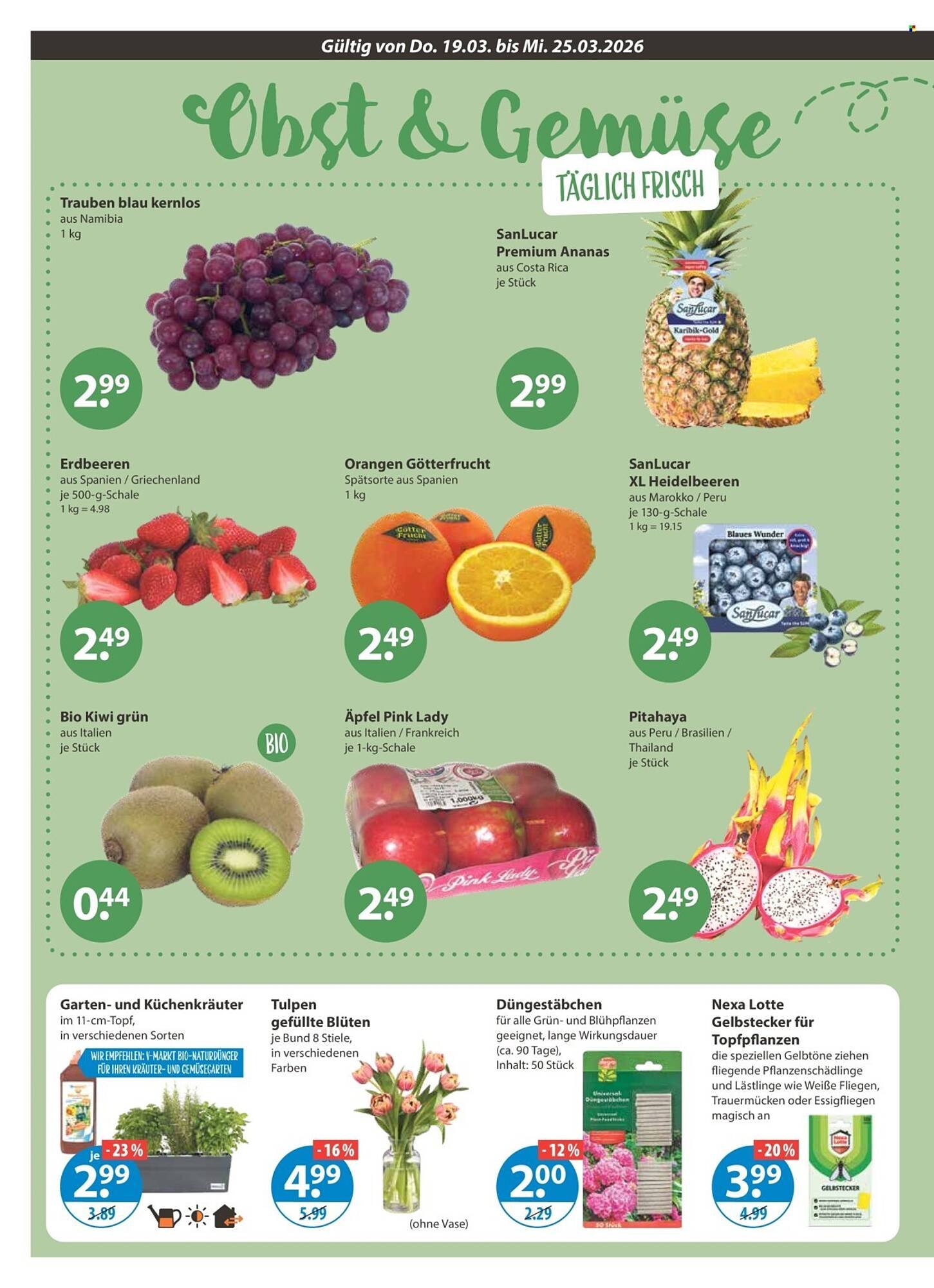 V Markt Prospekt (2026-03-19 - 2026-03-25)