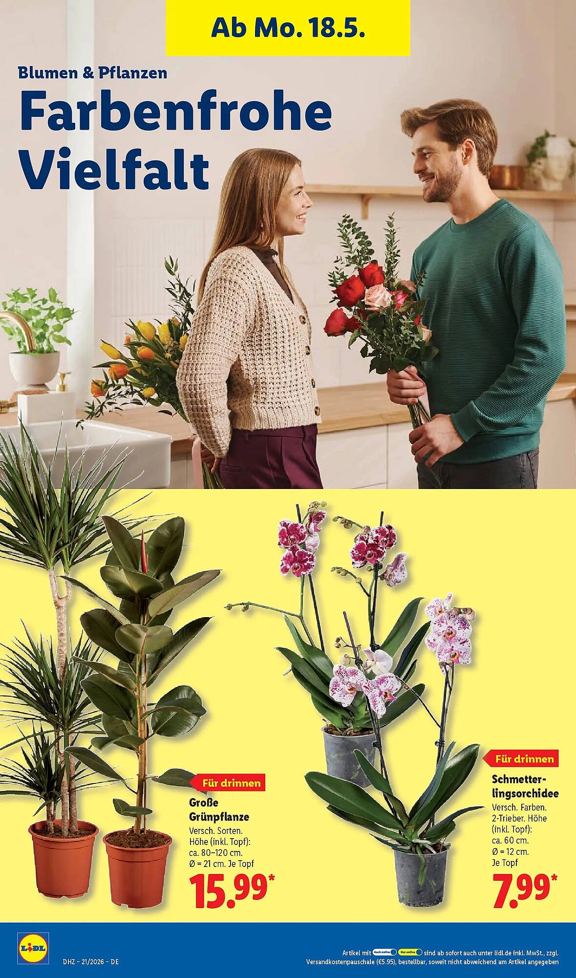 Lidl Prospekt (2026-05-17 - 2026-05-23)