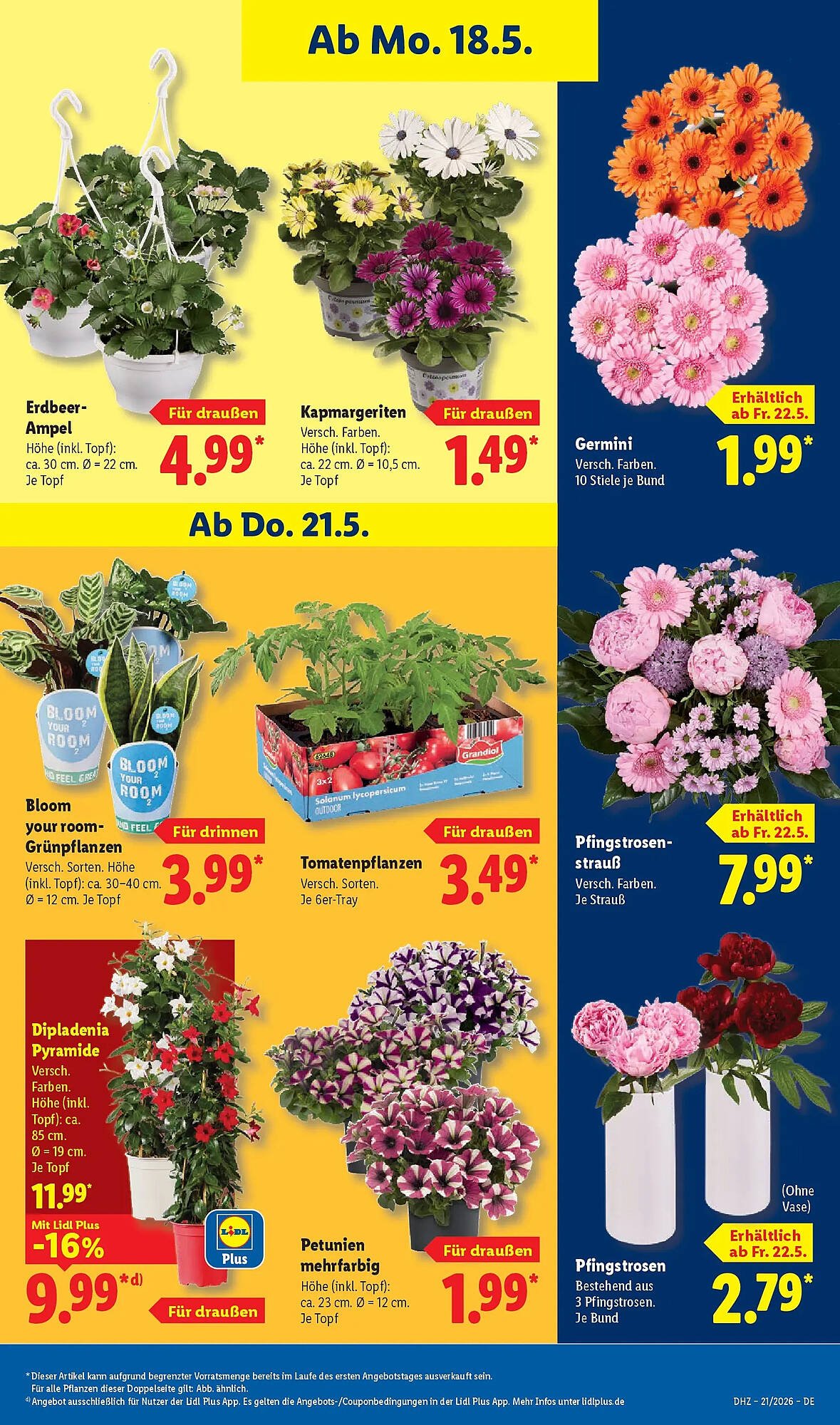 Lidl Prospekt (2026-05-17 - 2026-05-23)