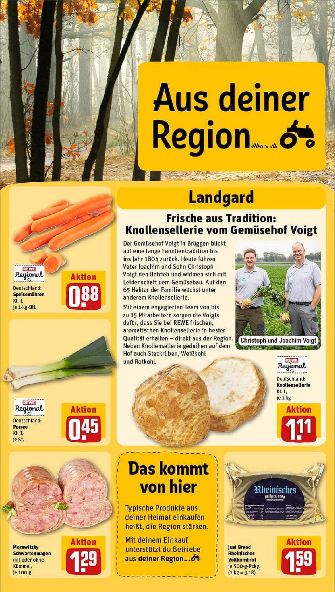 REWE Prospekt (2025-09-28 - 2025-10-05) | 24