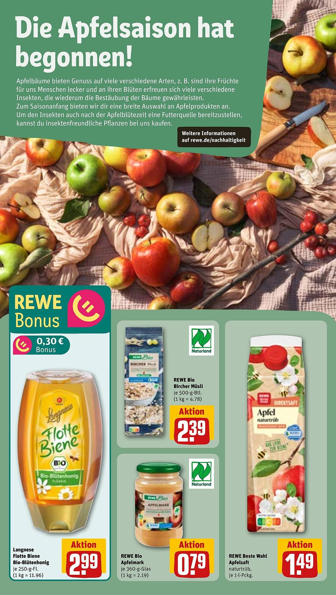 REWE Prospekt (2025-08-11 - 2025-08-17) | 22