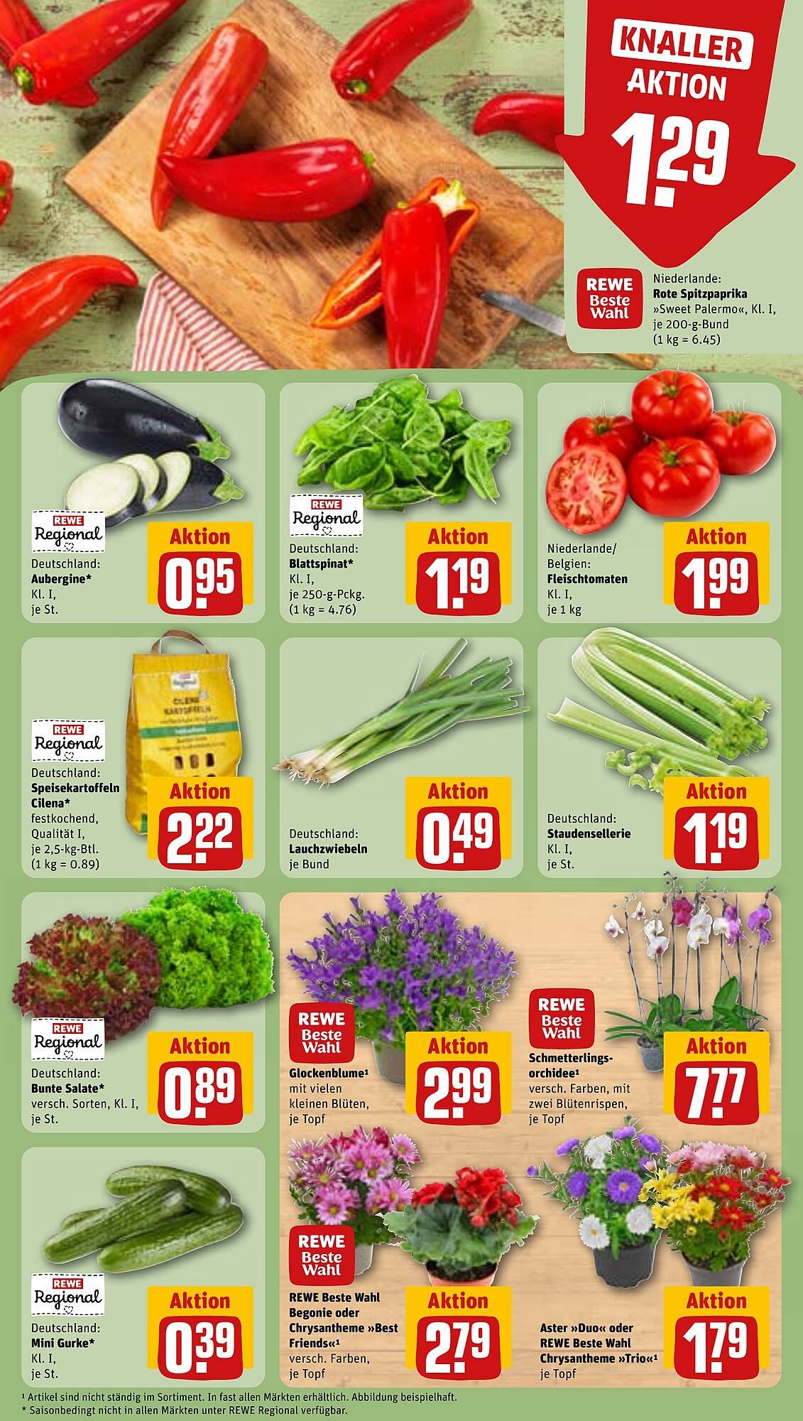 REWE Prospekt (2025-08-11 - 2025-08-17) | 5