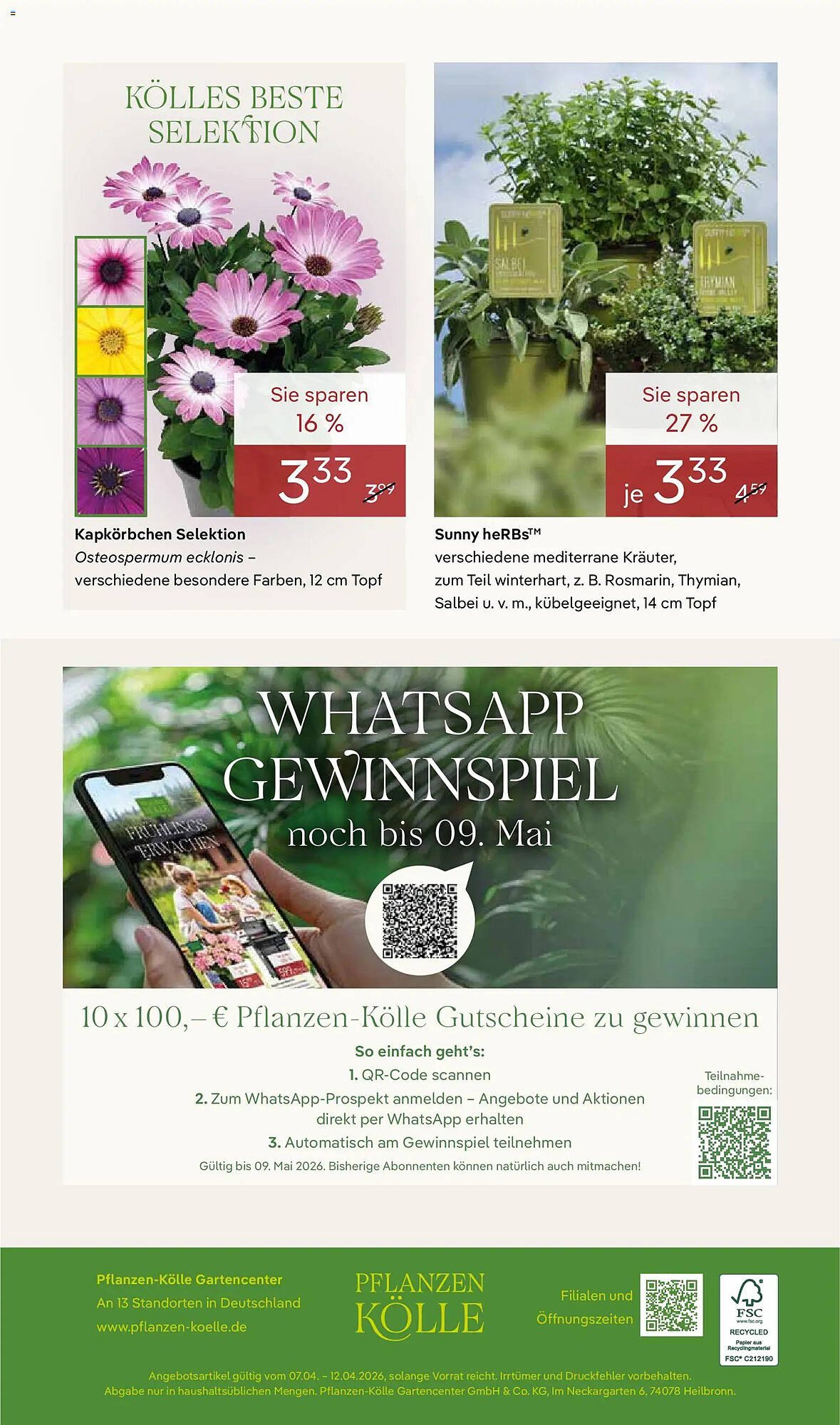 Pflanzen Kölle Prospekt