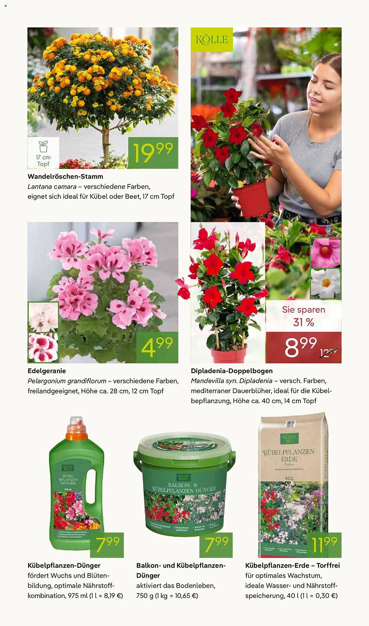 Pflanzen Kölle Prospekt
