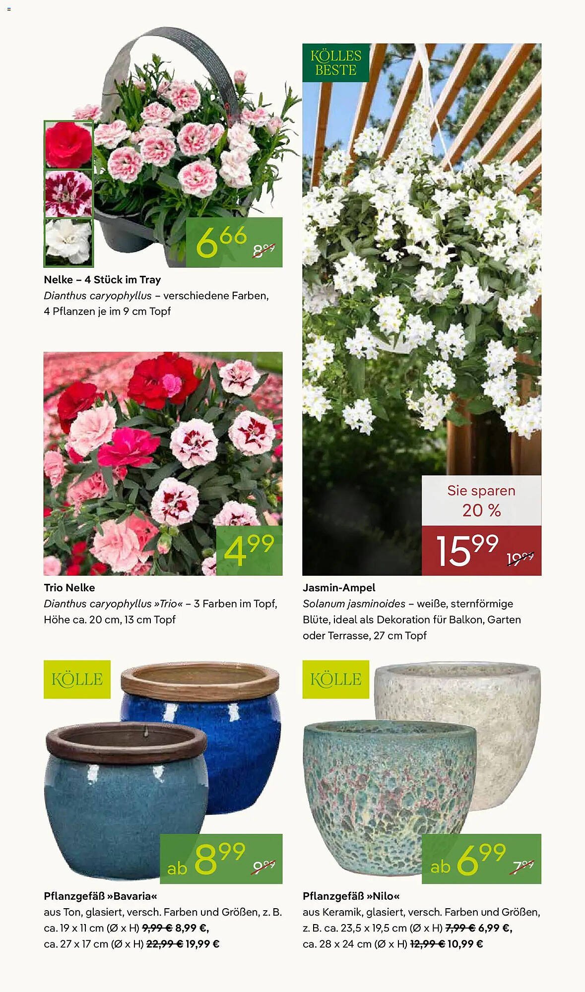 Pflanzen Kölle Prospekt