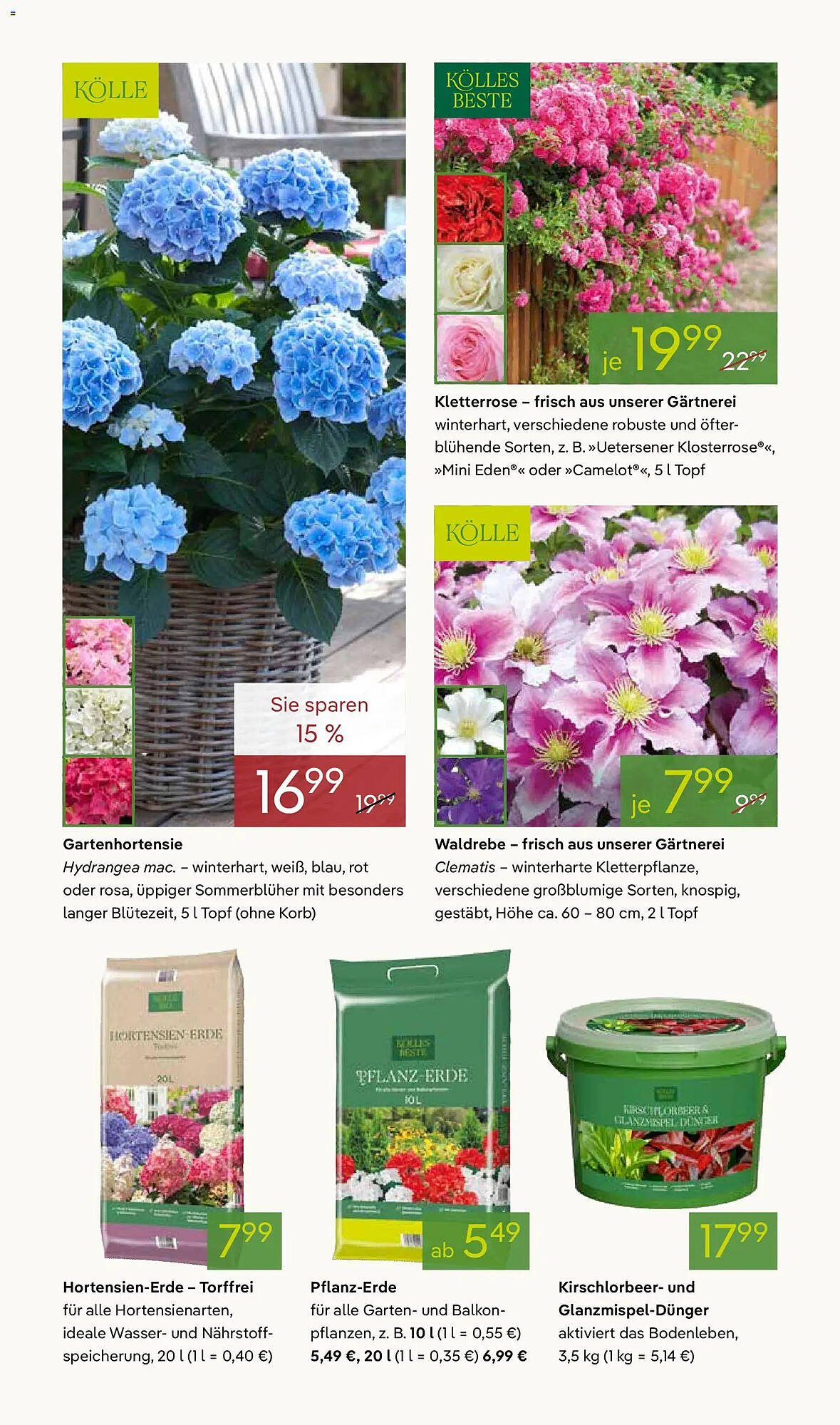 Pflanzen Kölle Prospekt