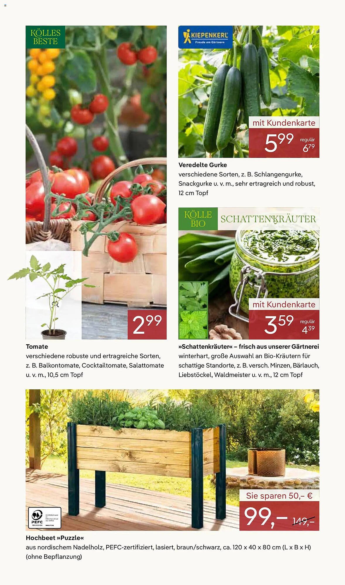 Pflanzen Kölle Prospekt