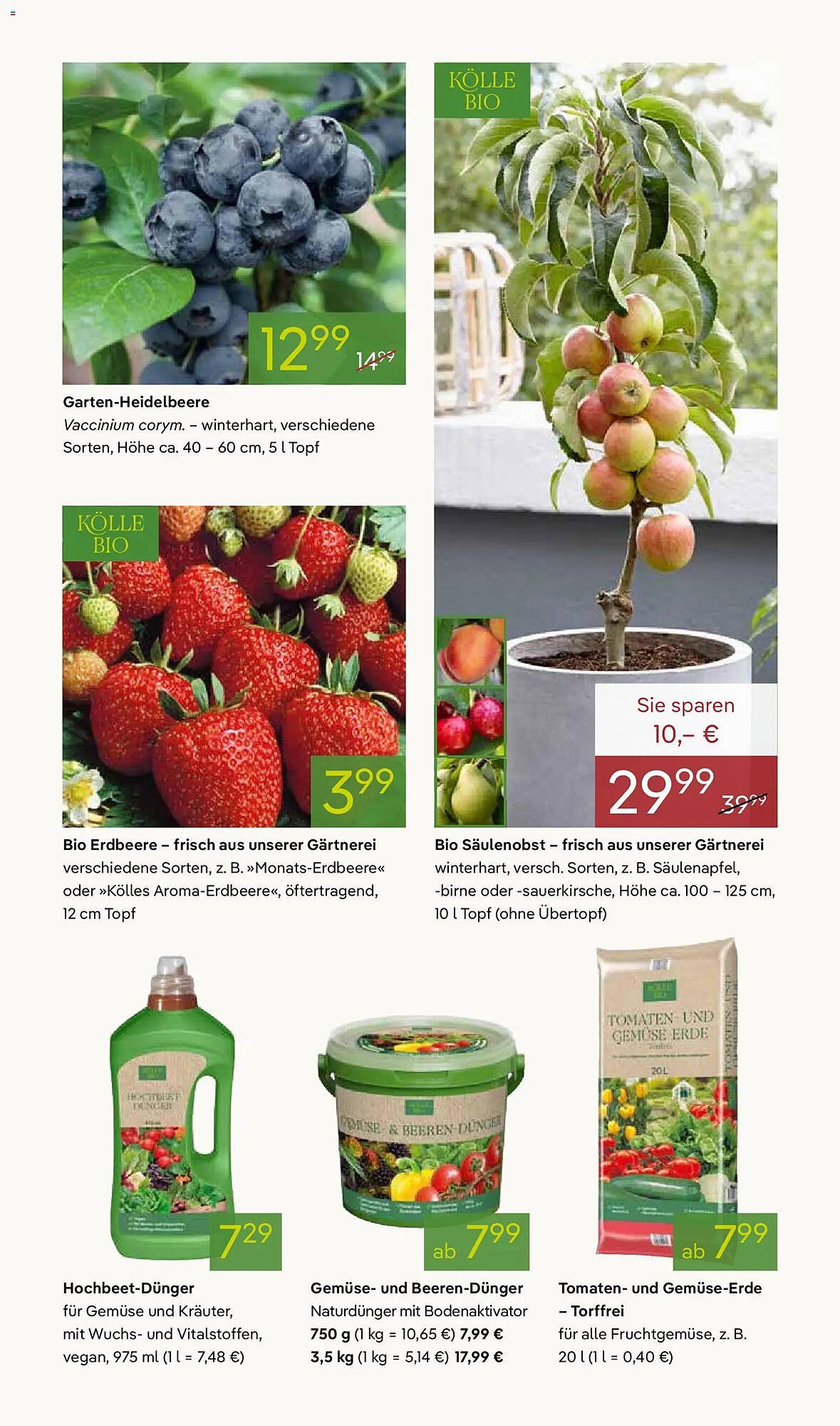 Pflanzen Kölle Prospekt