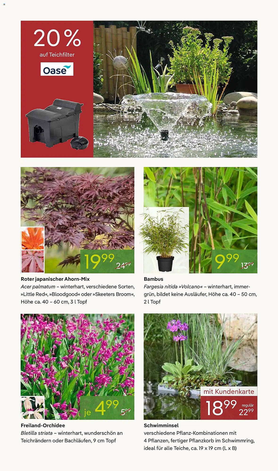 Pflanzen Kölle Prospekt