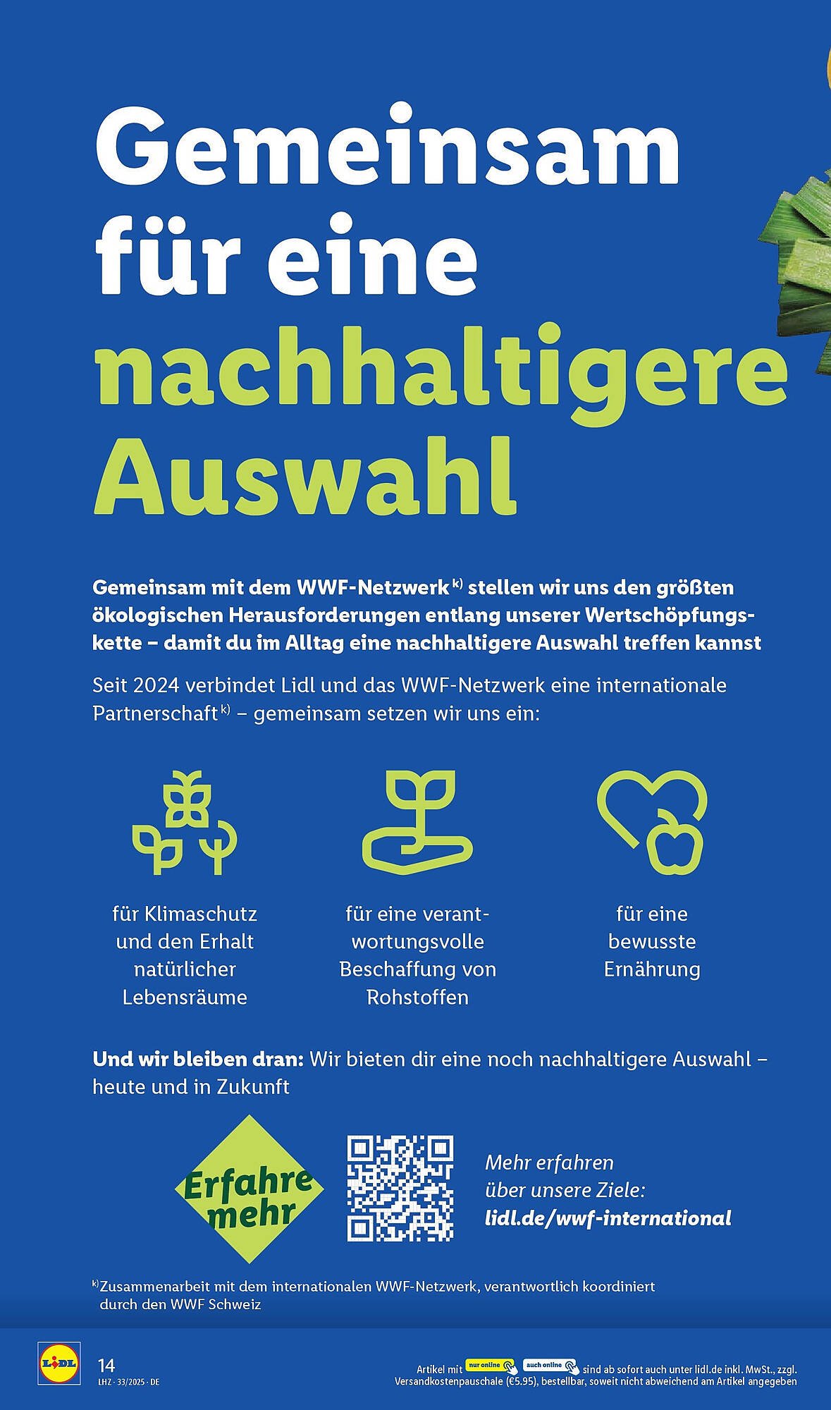 Lidl Prospekt (2025-08-11 - 2025-08-16) | 18